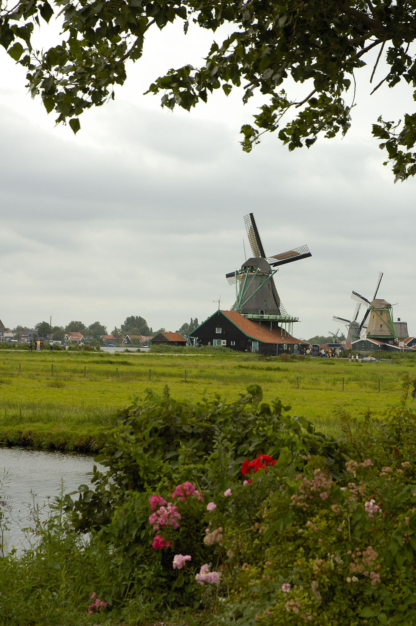 Holland