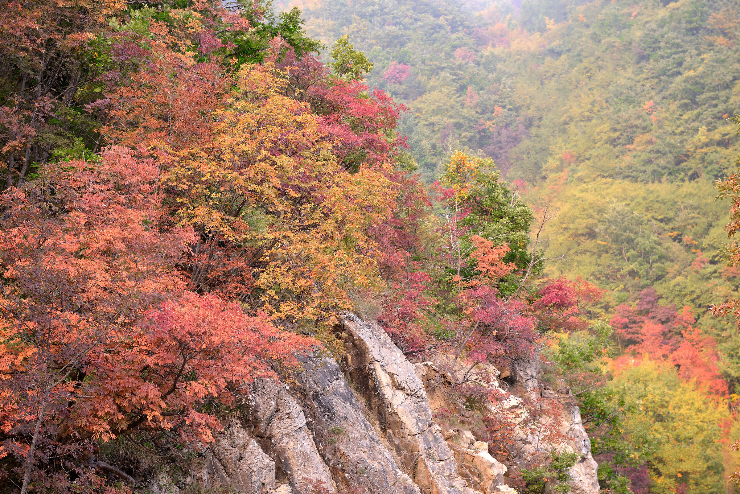 Autunno in val Borbera
