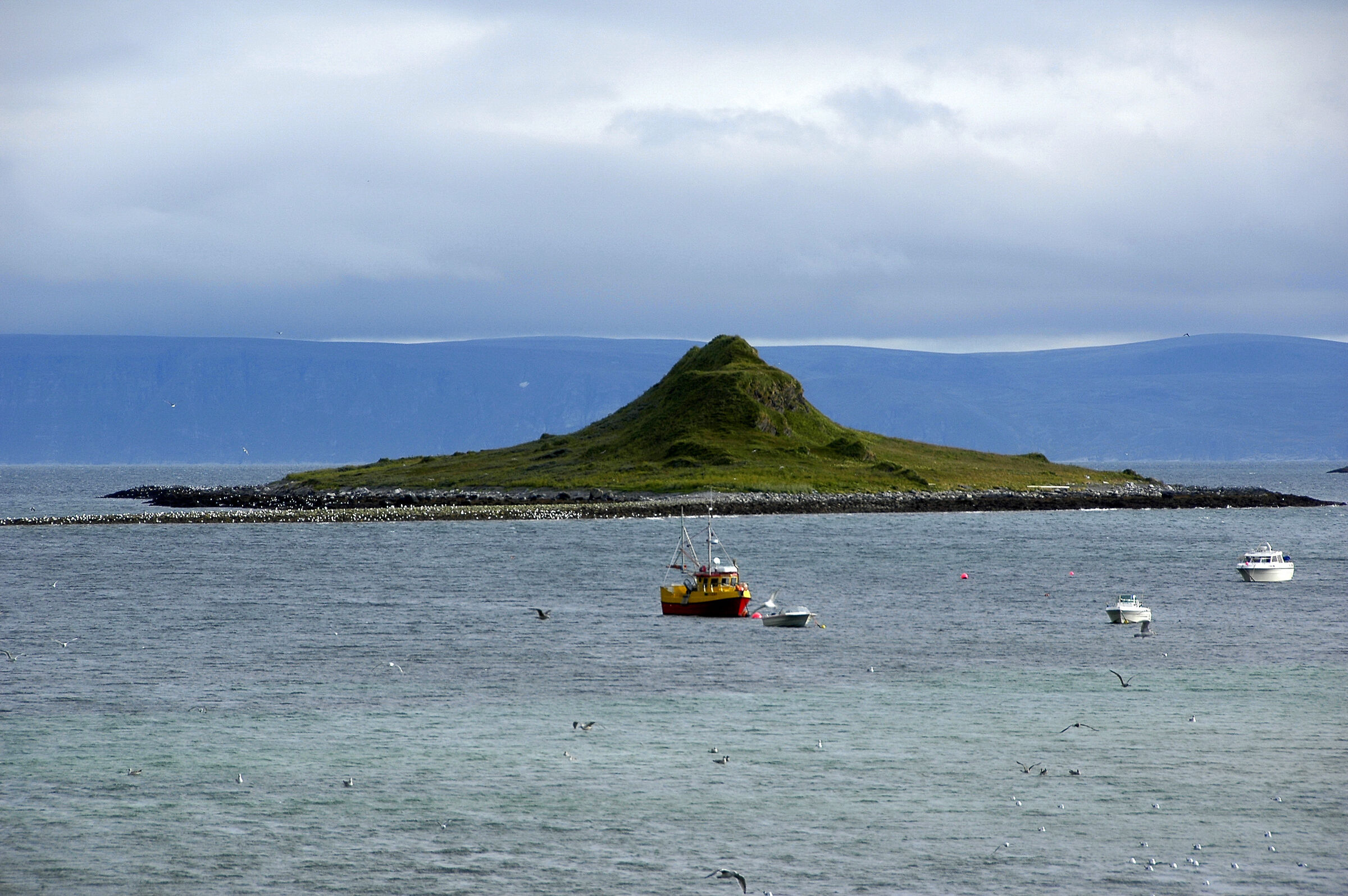 Il cappello della strega..