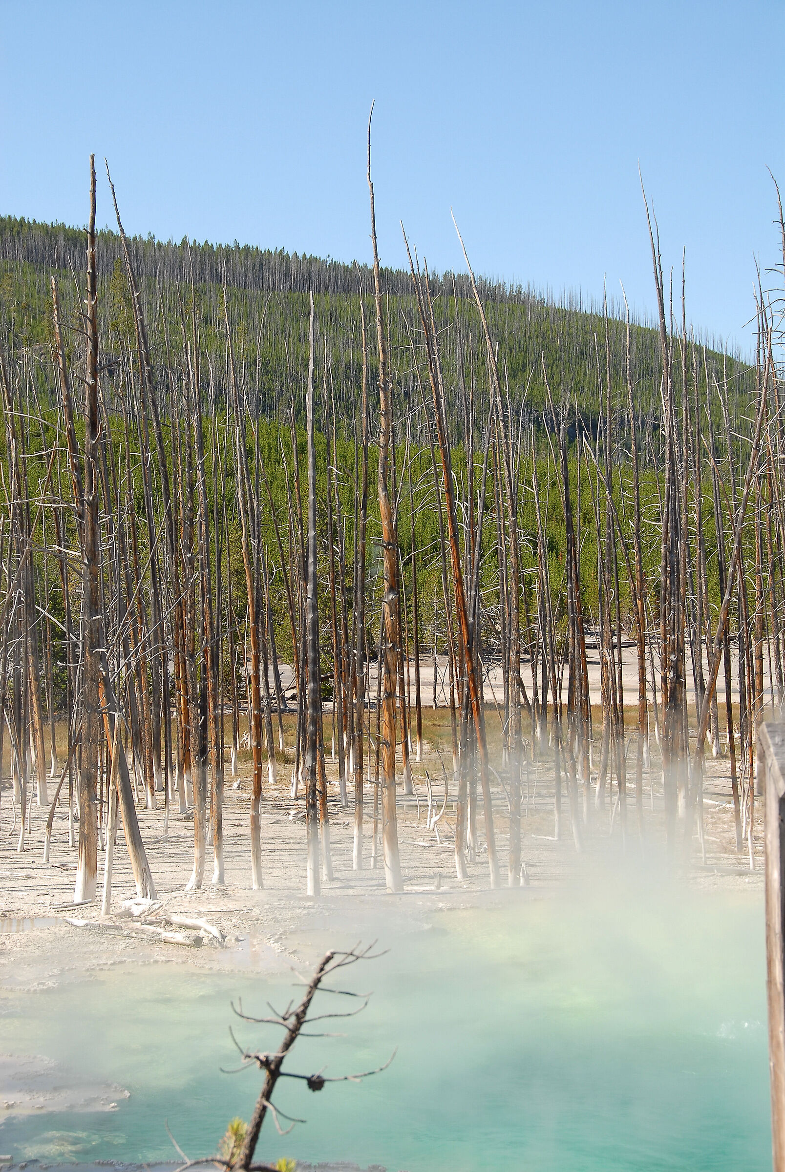 Yellowstone National Park