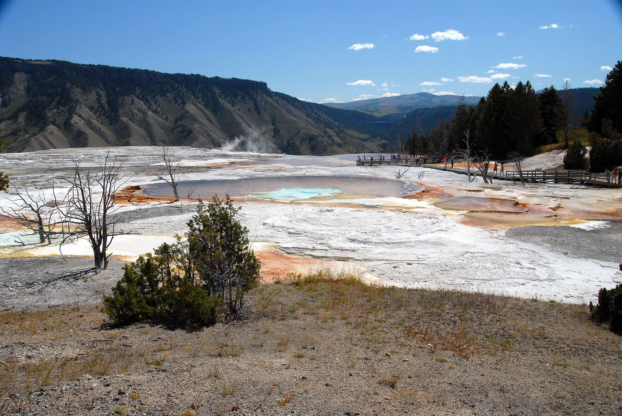 Yellowstone national park