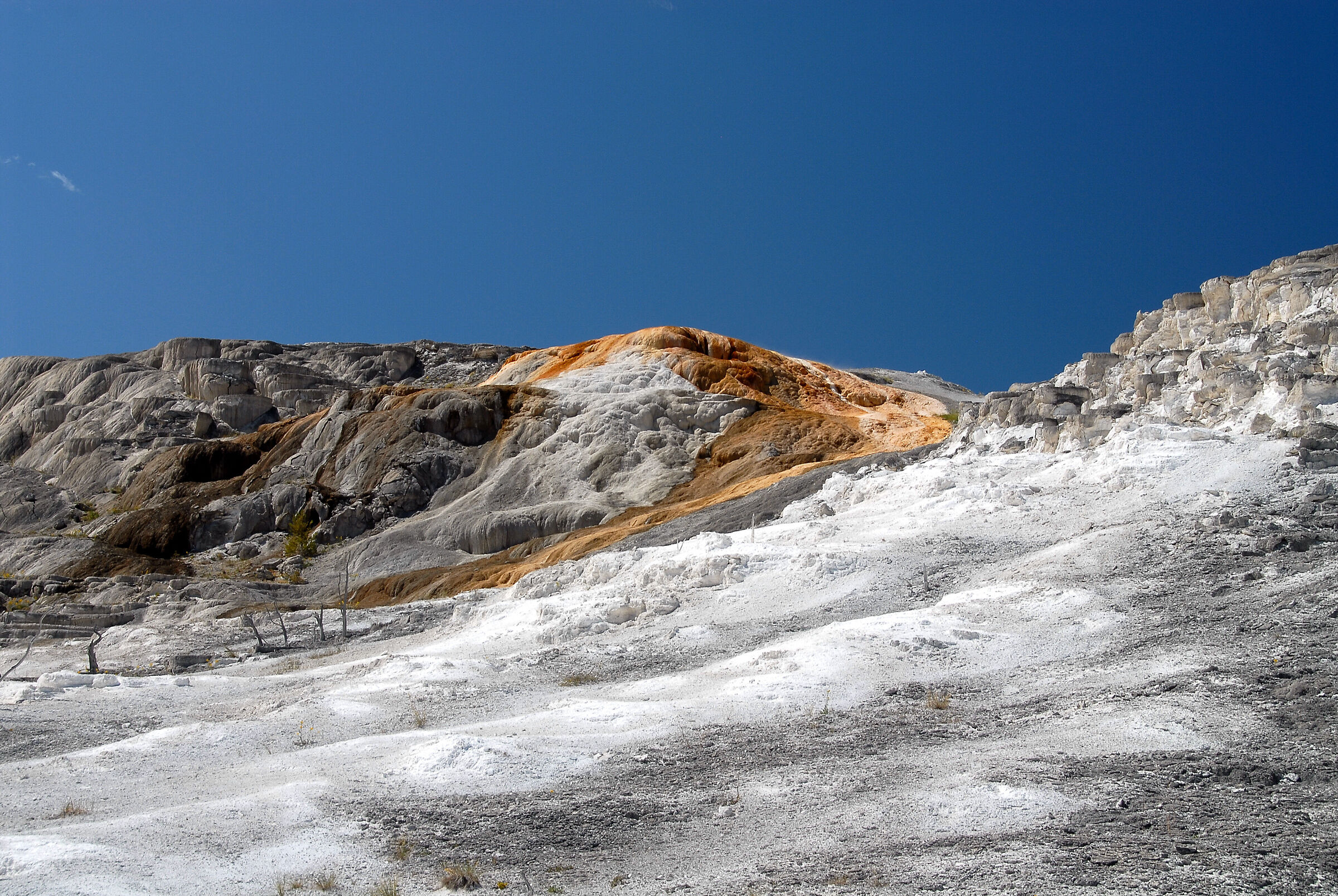Yellowstone national park