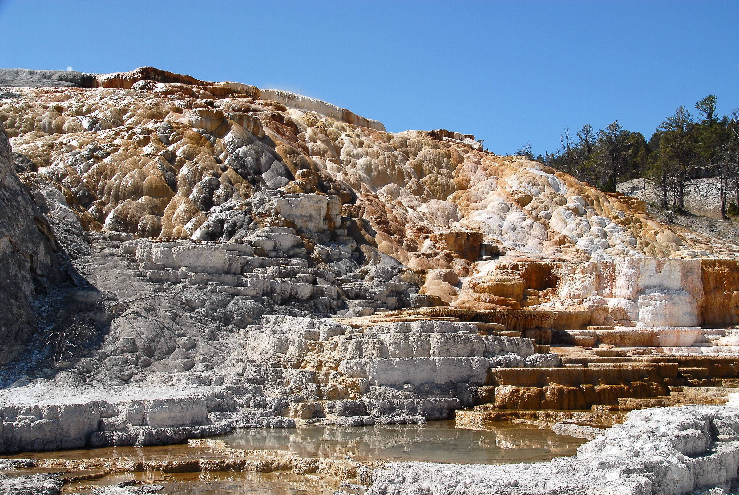 Yellowstone national park