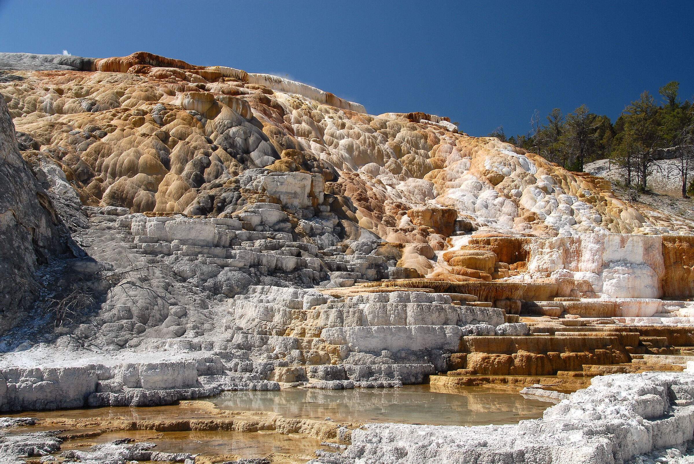 Yellowstone National Park