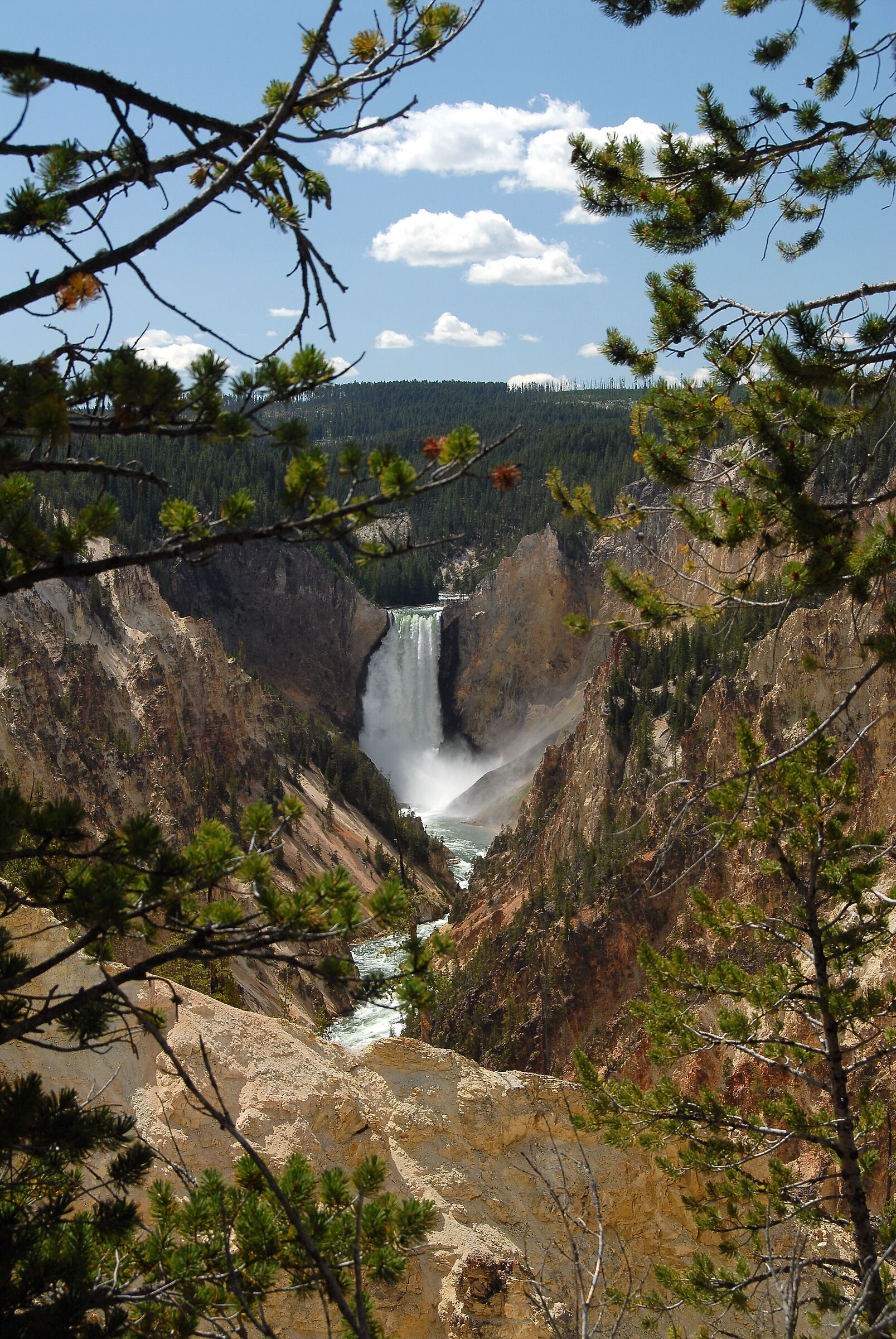 Yellowstone national park Grand Canyon