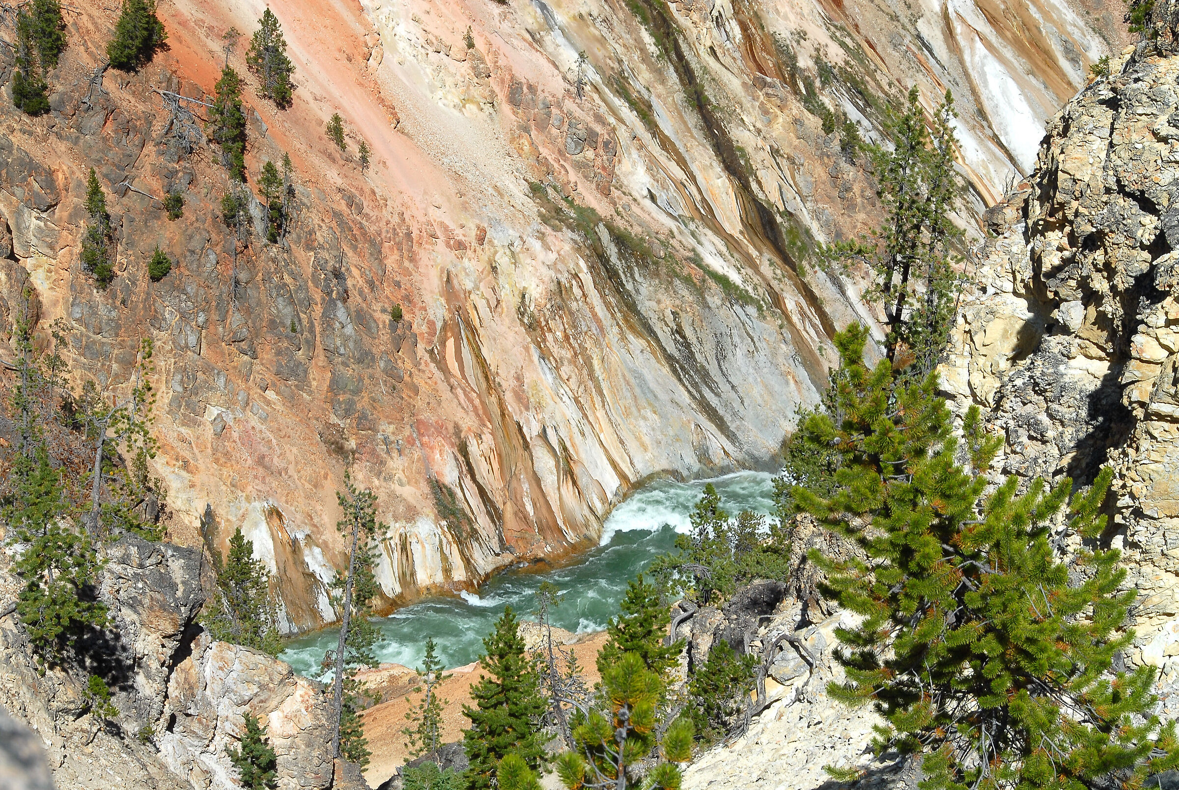 Yellowstone National Park Grand Canyon