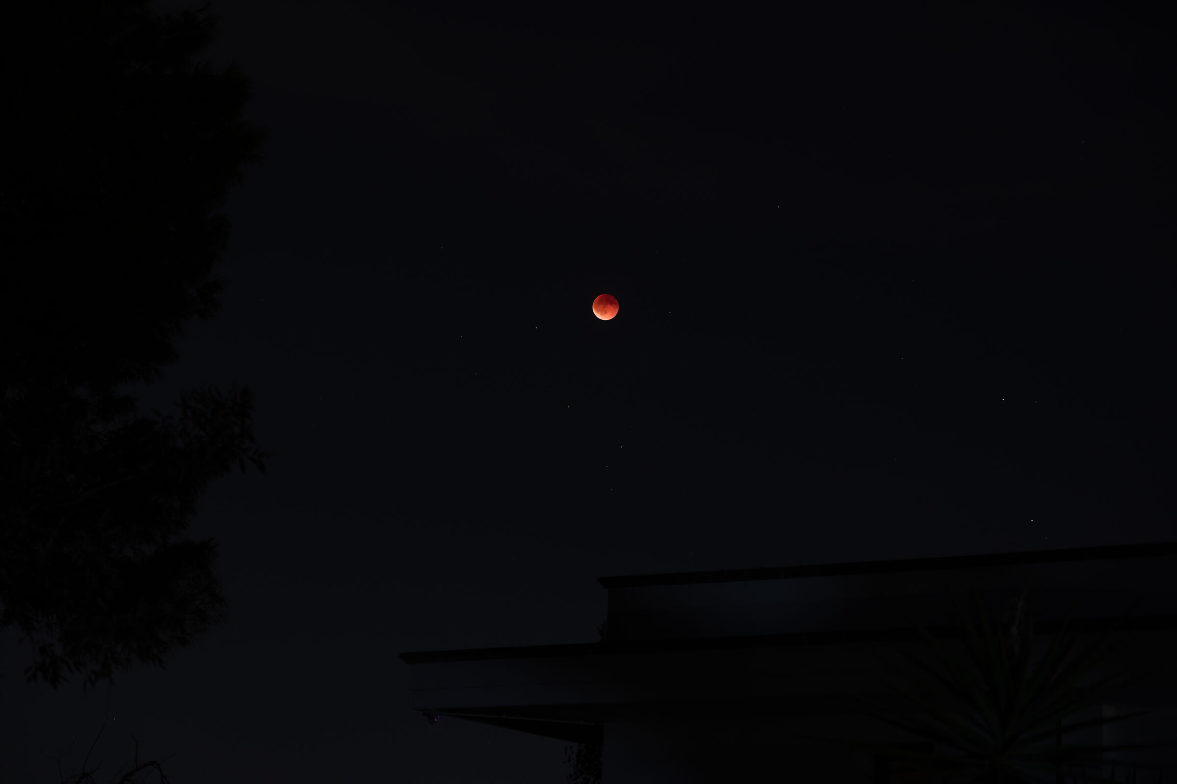 Al riparo della luna