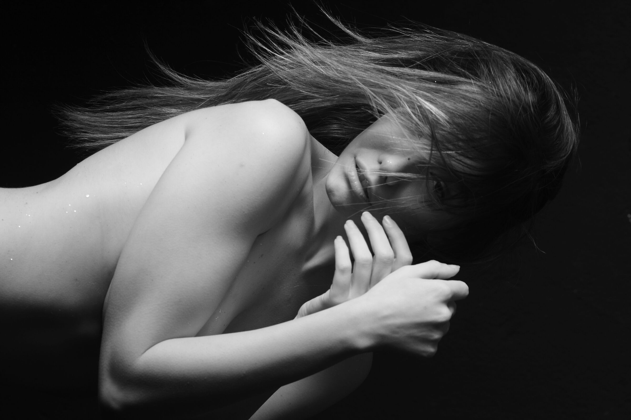 REBECCA442