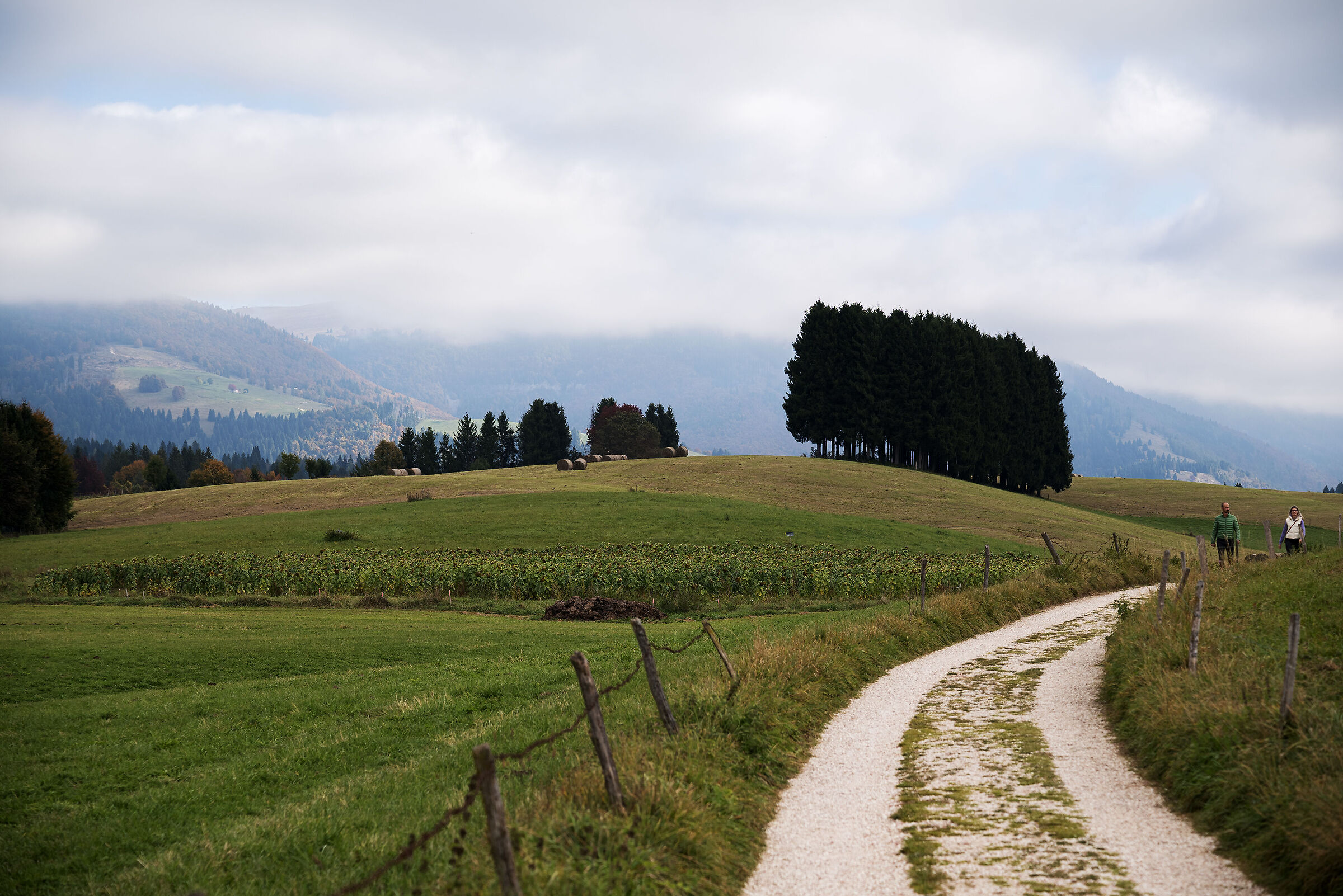 La passeggiata