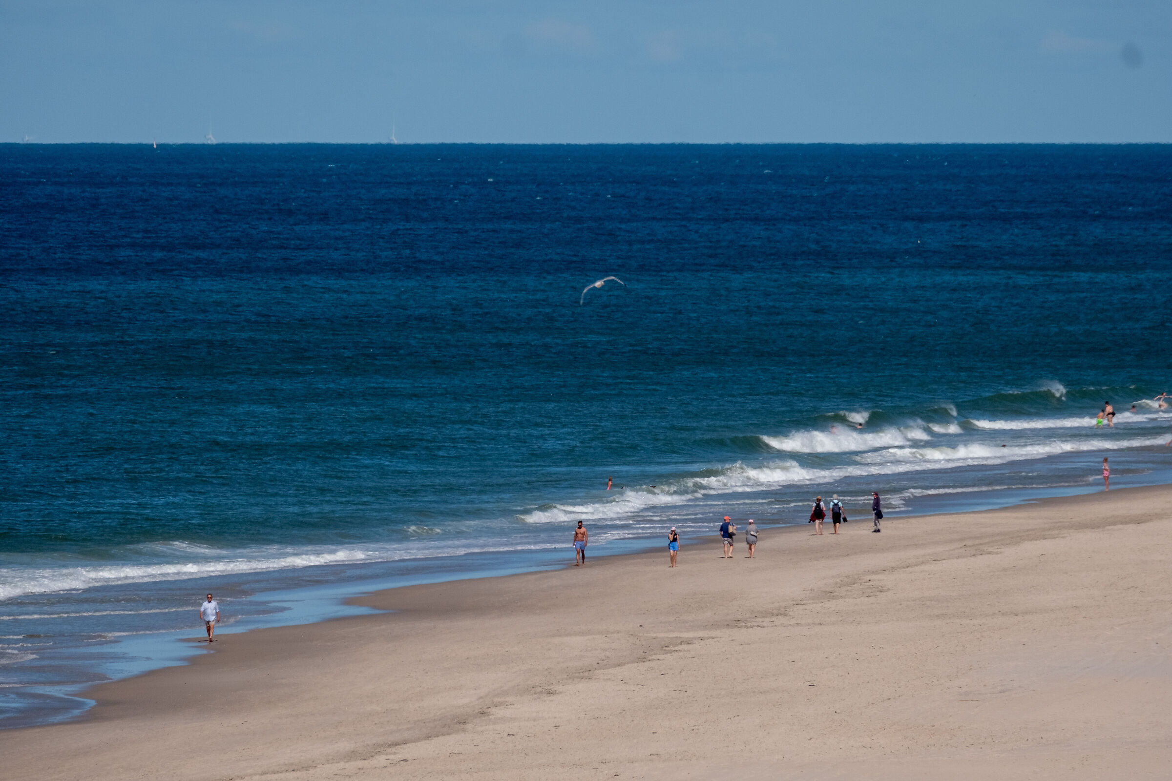 Sylt