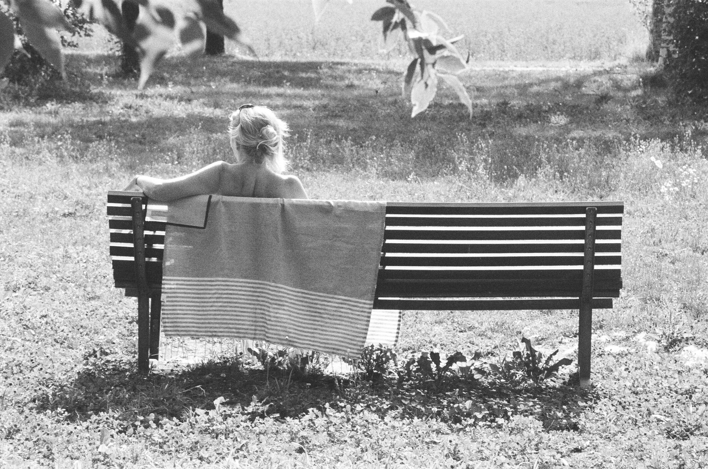 Parco Nord Milano, 2025