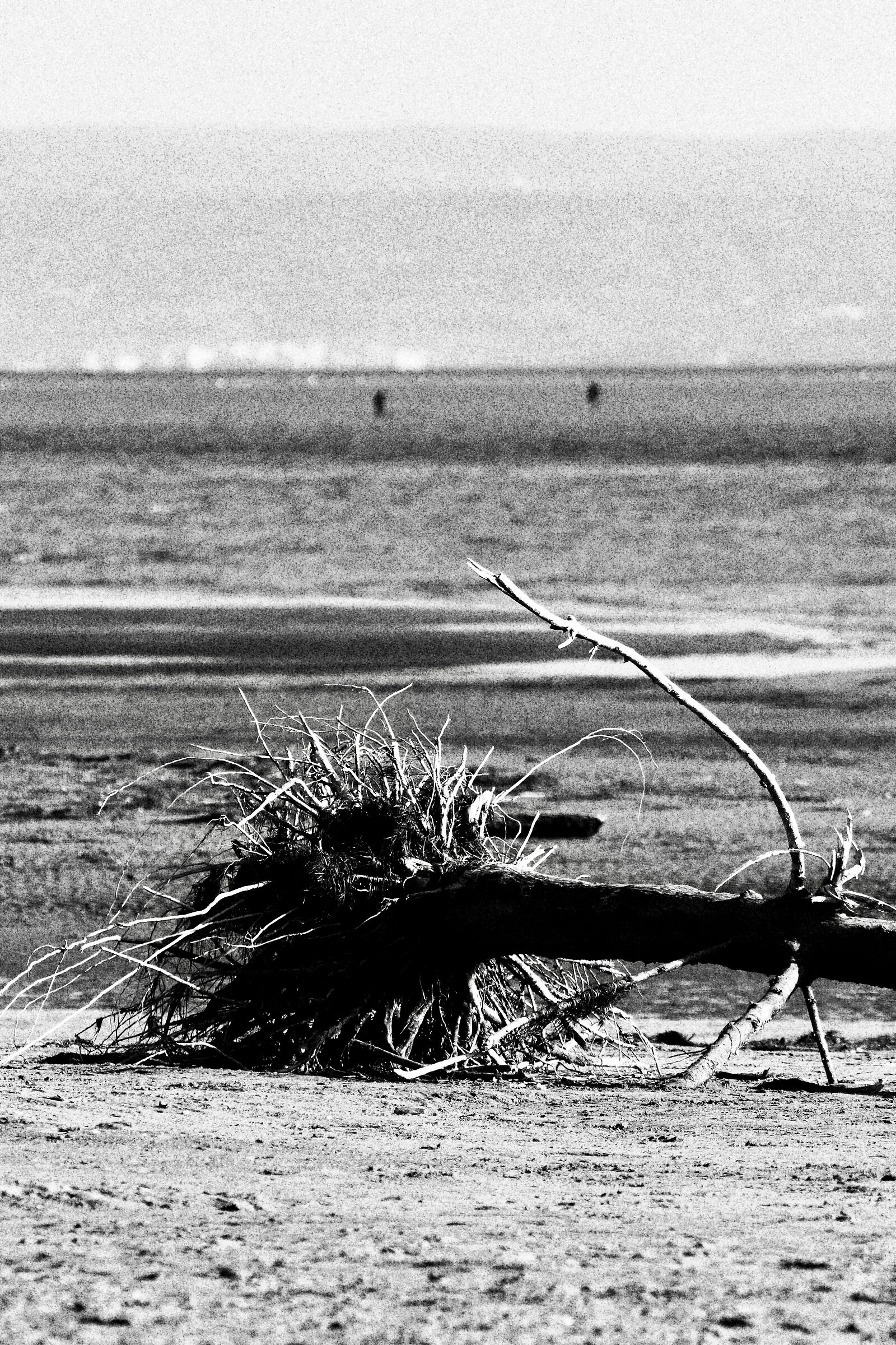 Dopo il fortunale ...