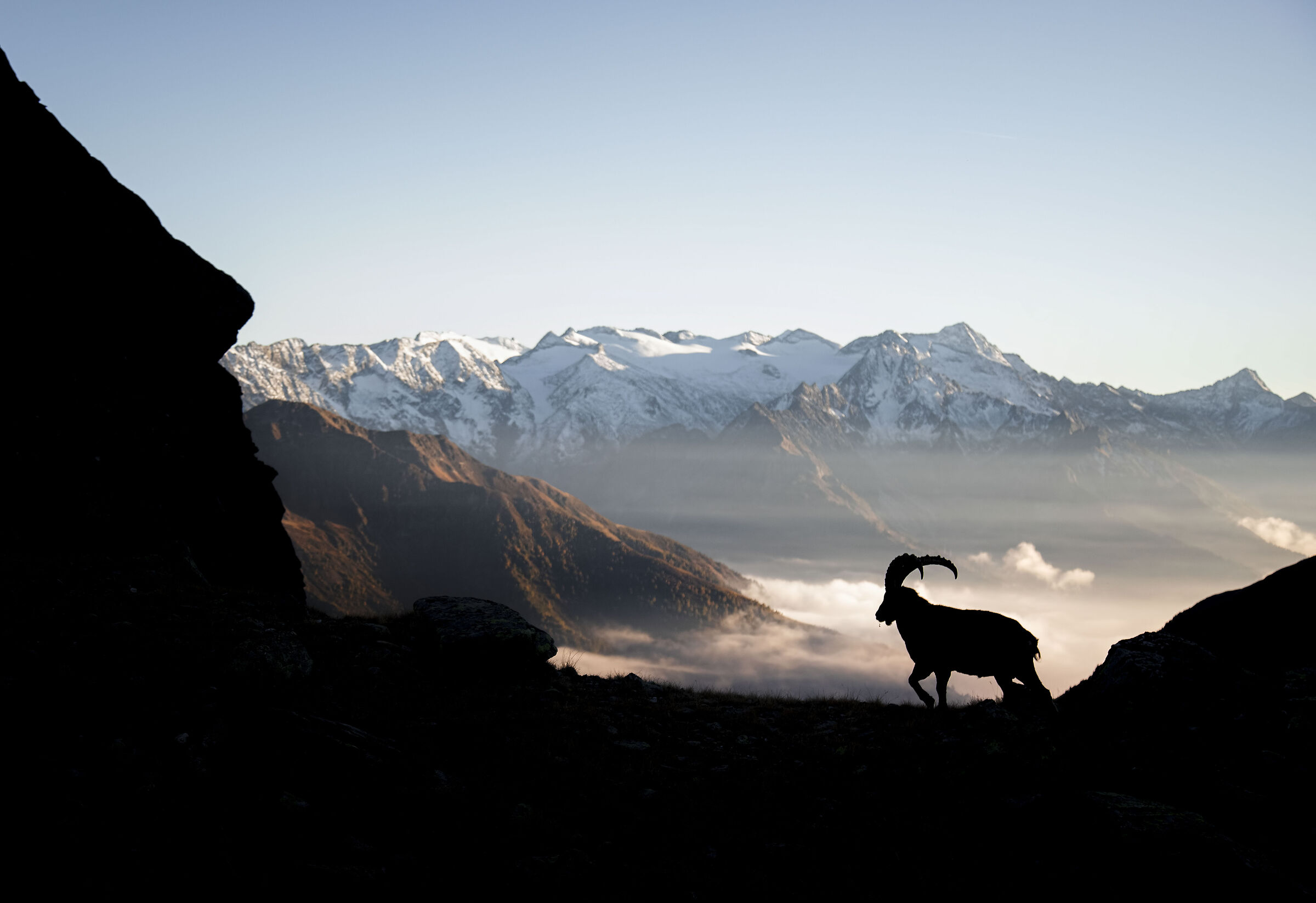 Alpine sunsets