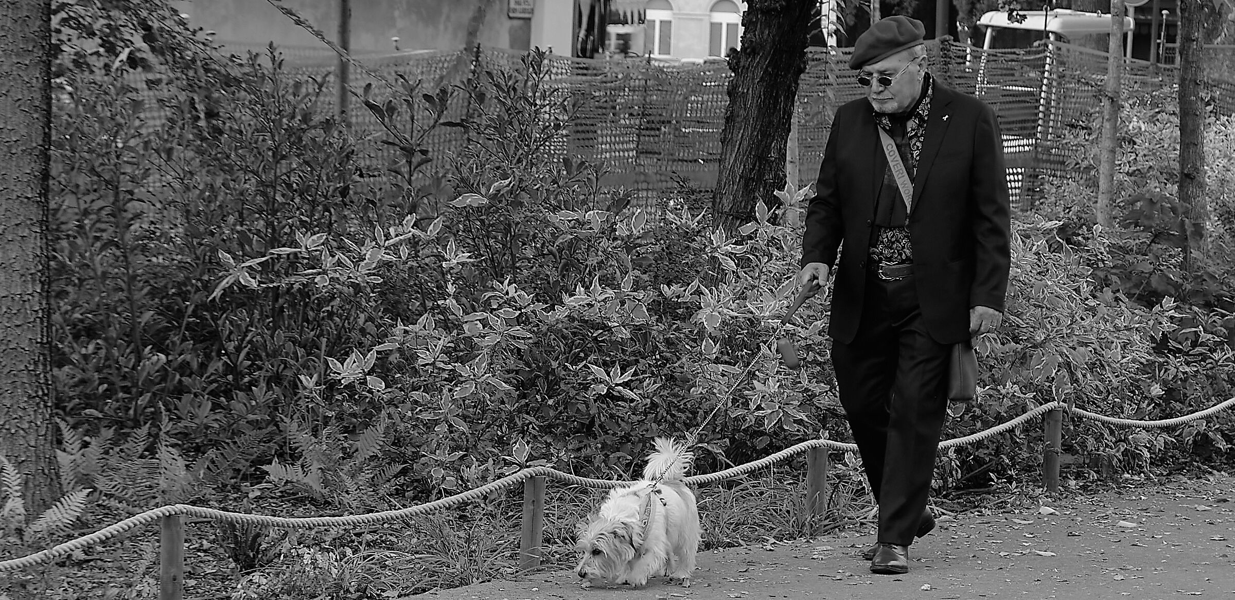 walk