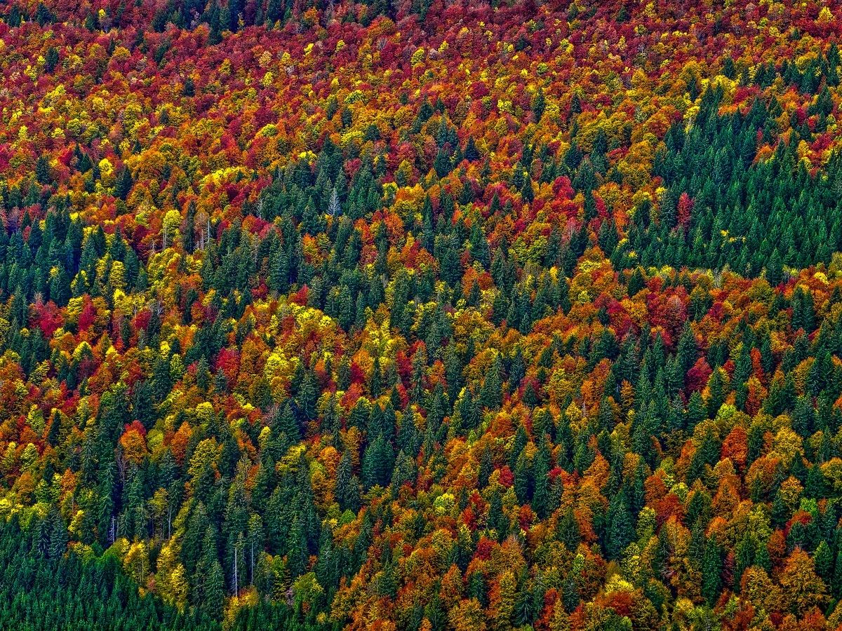 Francia - Franche-Comté