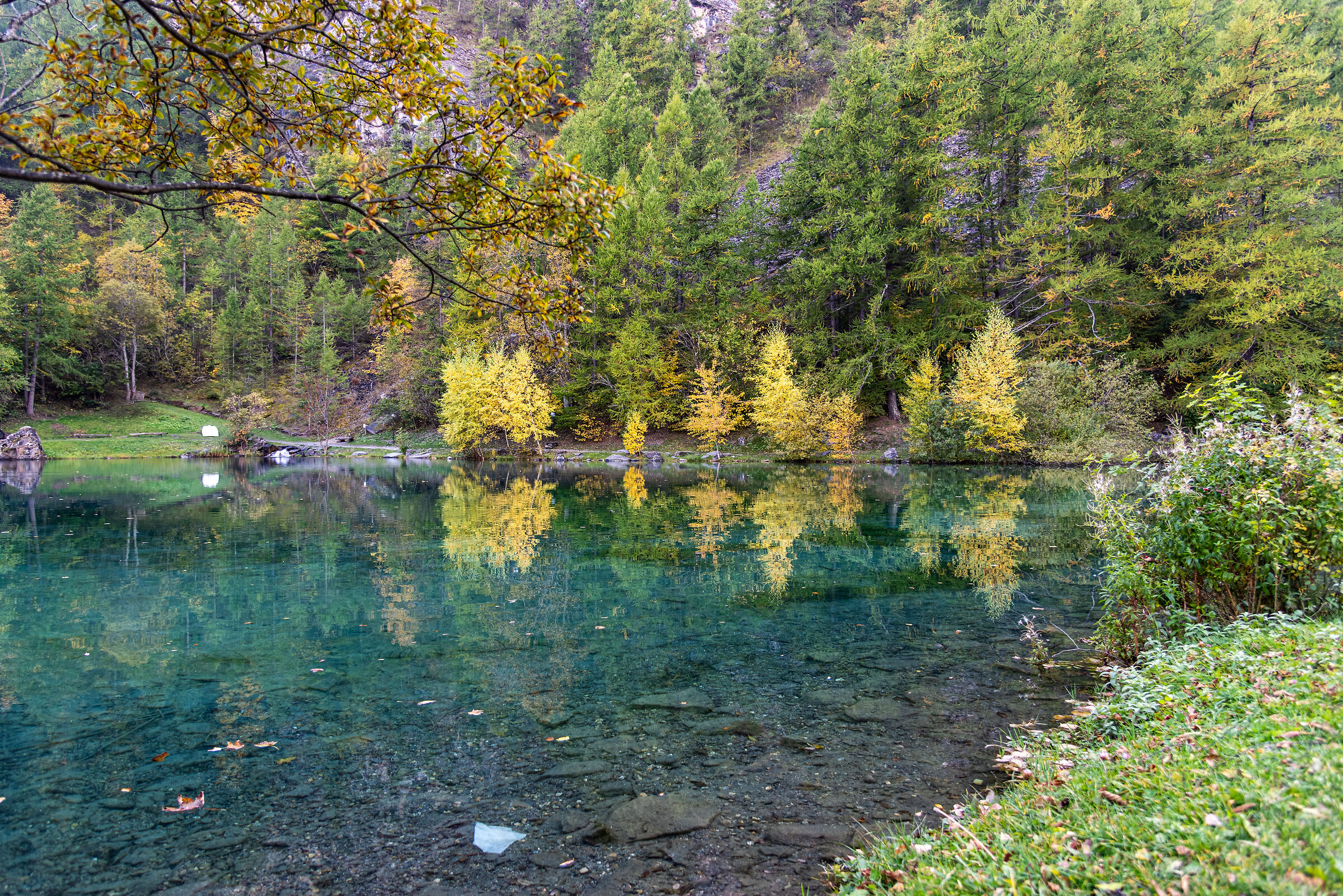 Usseaux - Lake Laux - Foliage - Reflections
