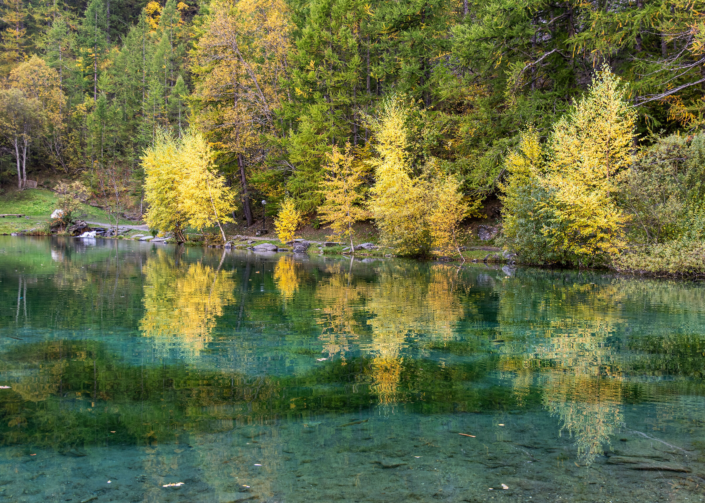 Usseaux - Lake Laux - Foliage - Reflections 3