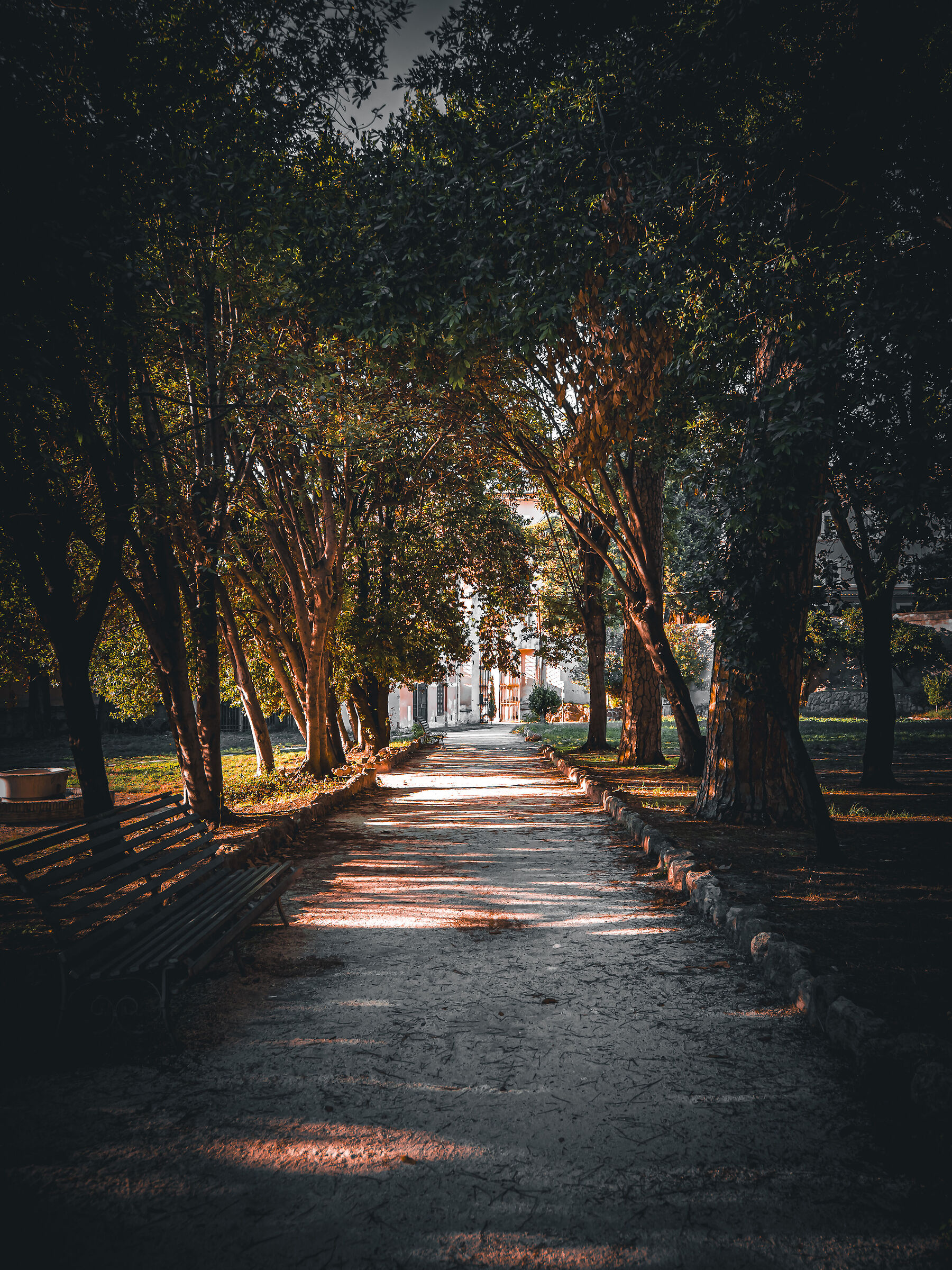 Exploring Rome