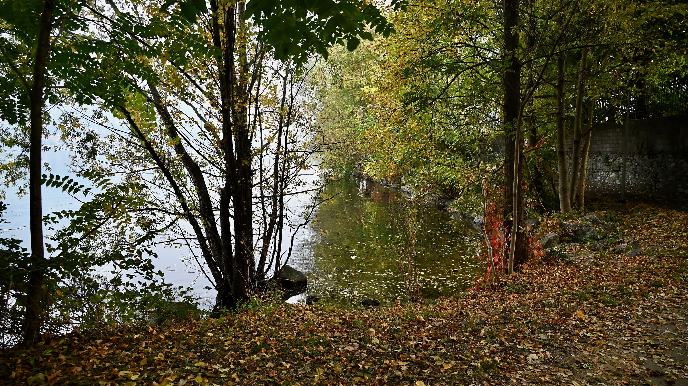 Autunno lungo l'Adda