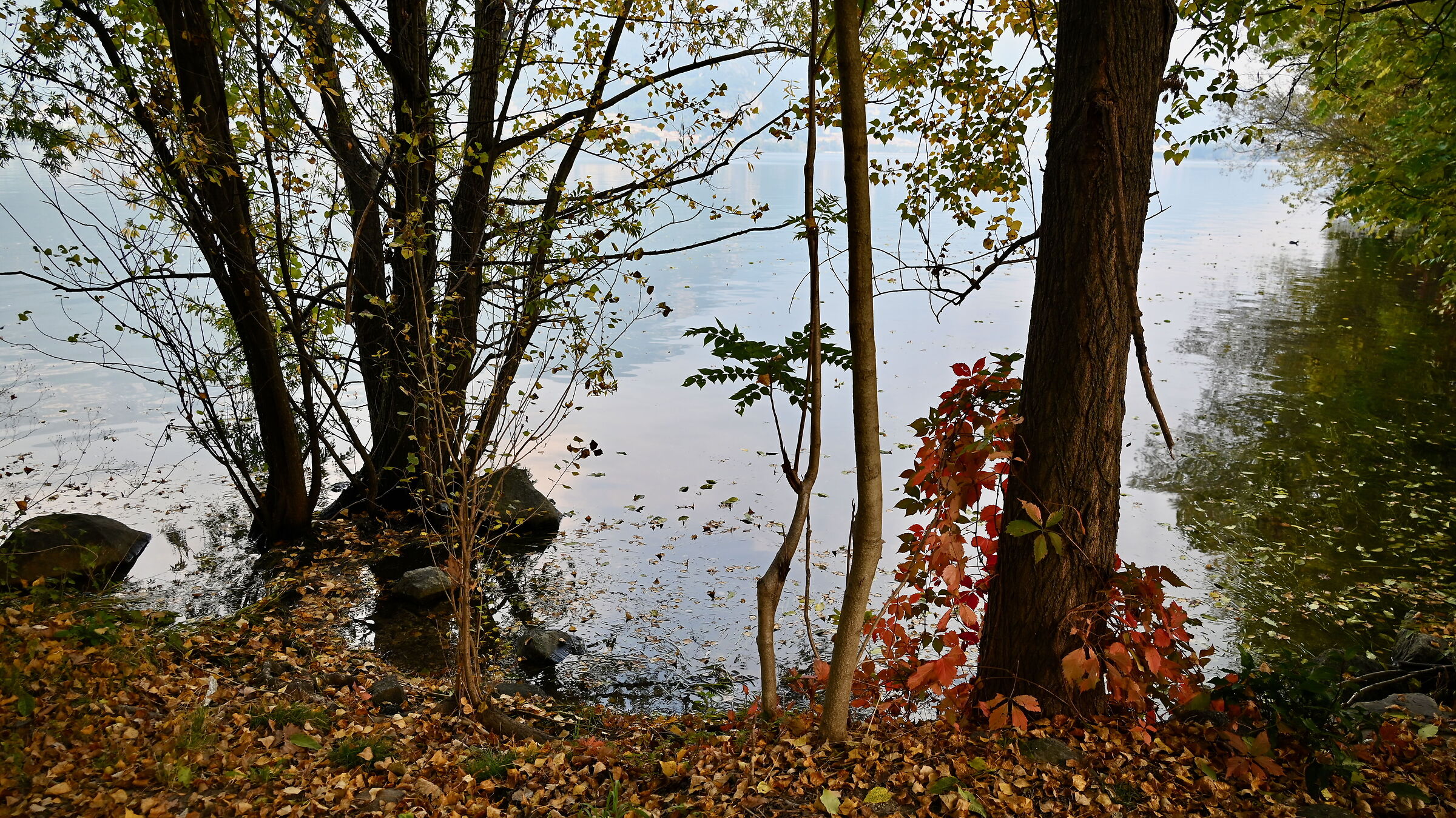 Autunno lungo l'Adda 2