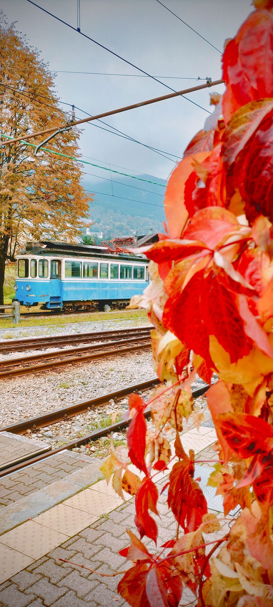Autumn