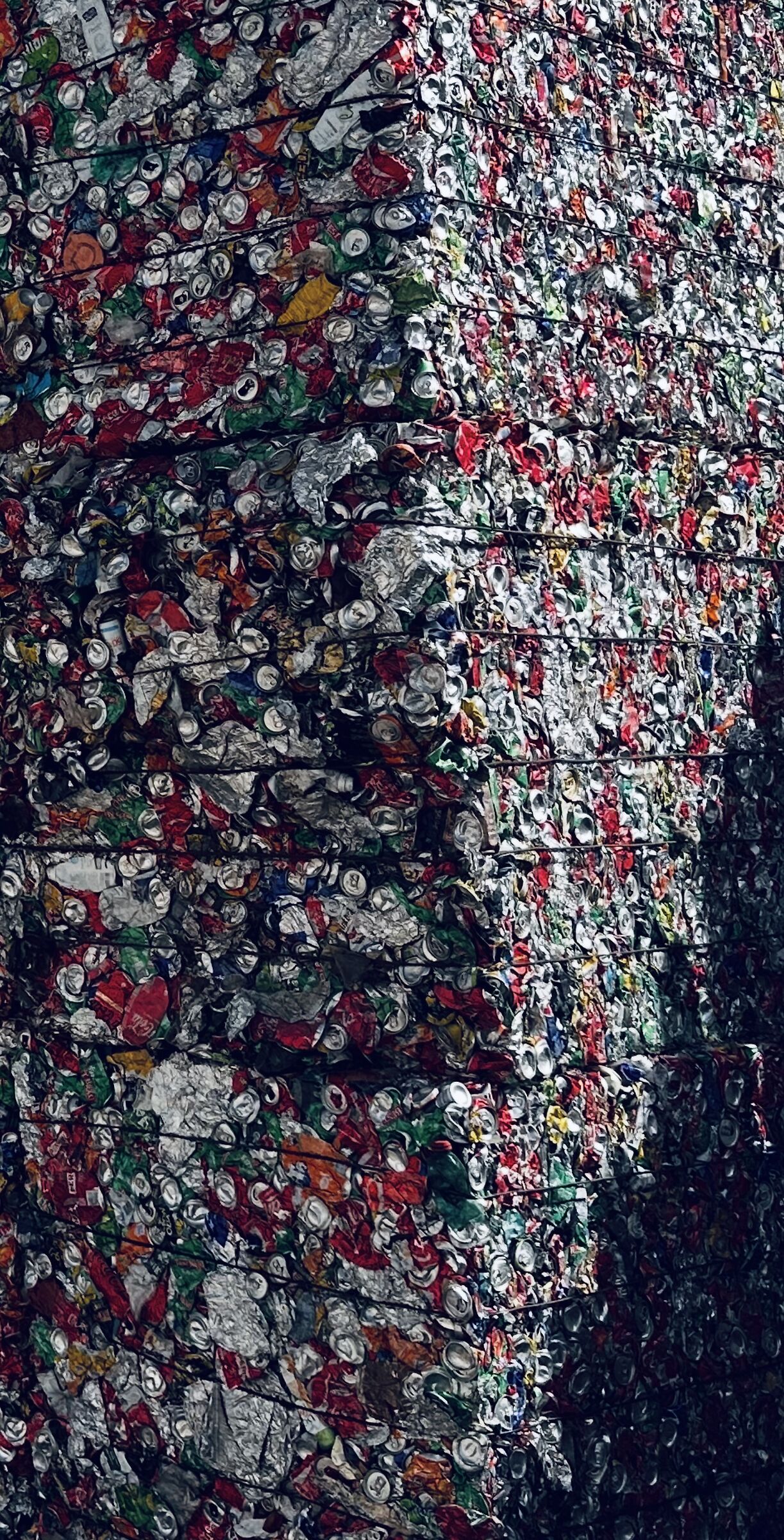 Reciclando