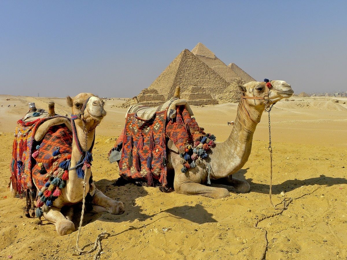 Egypt - Giza Pyramids