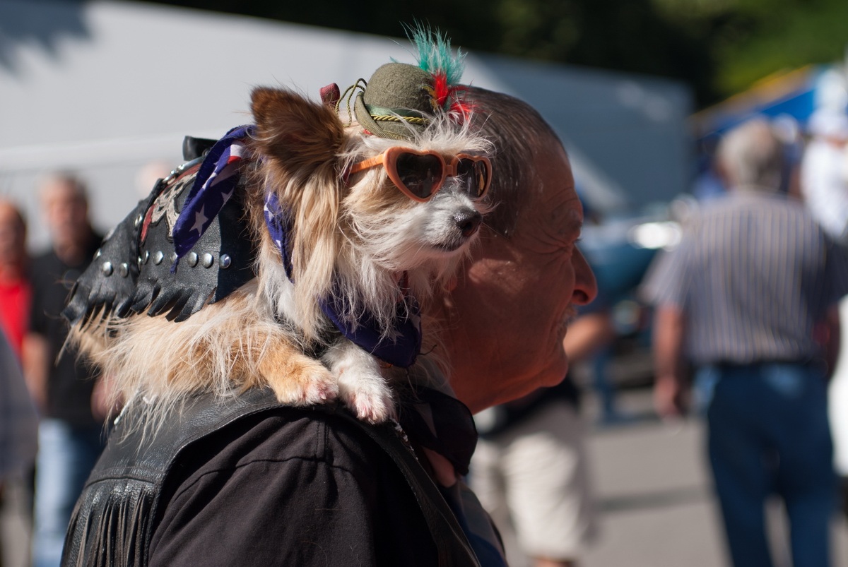 Noo!!!...non lascio autografi!!!!!