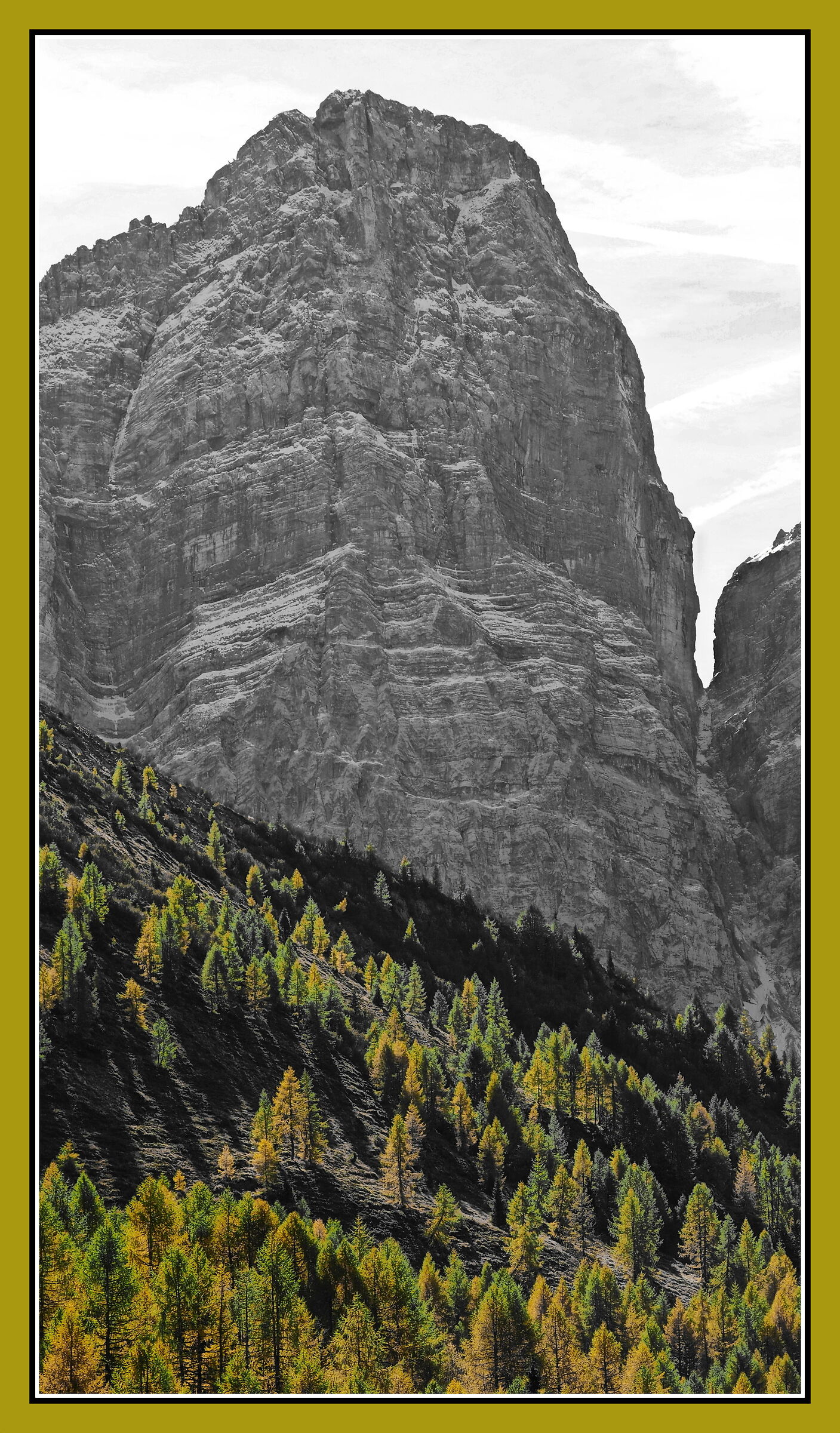 The Emperor and his people