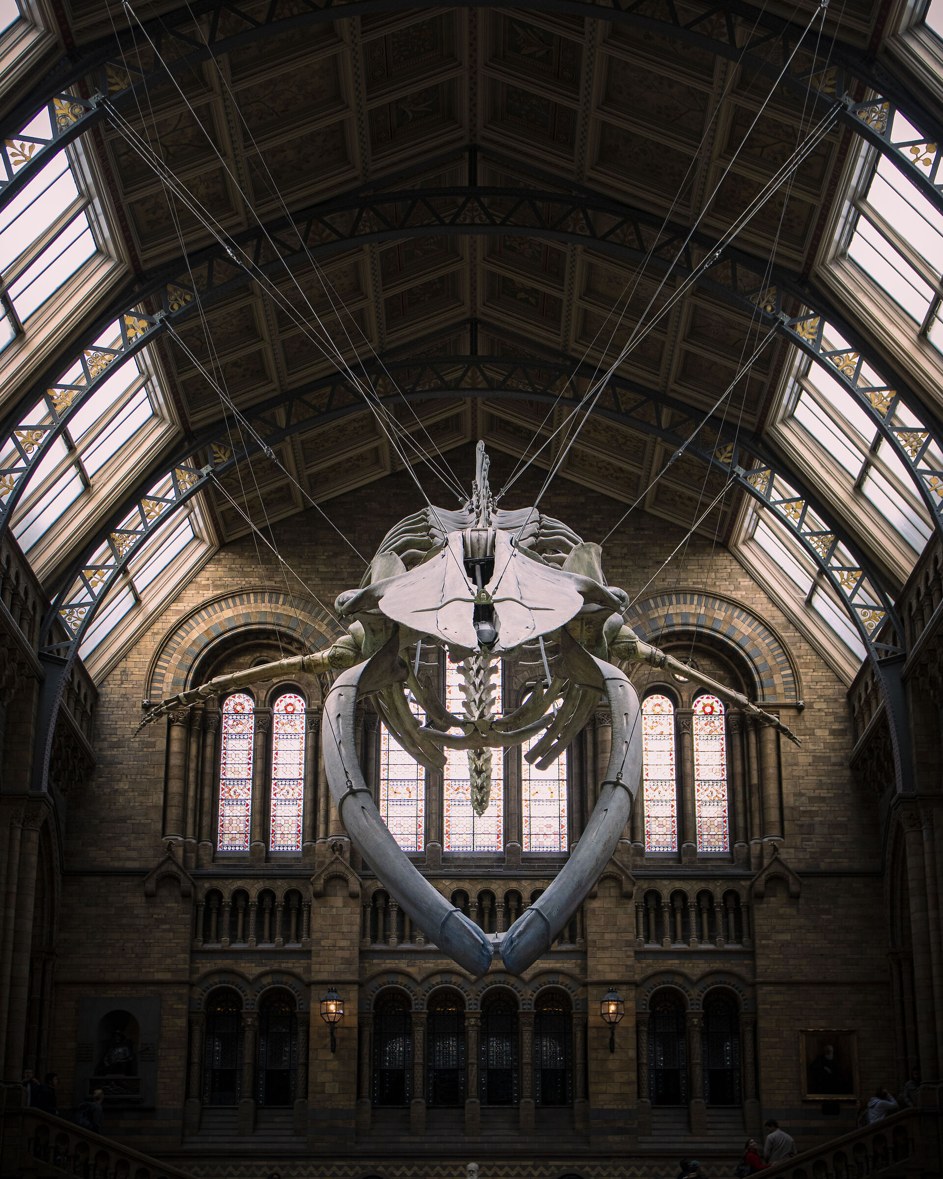 The Whale