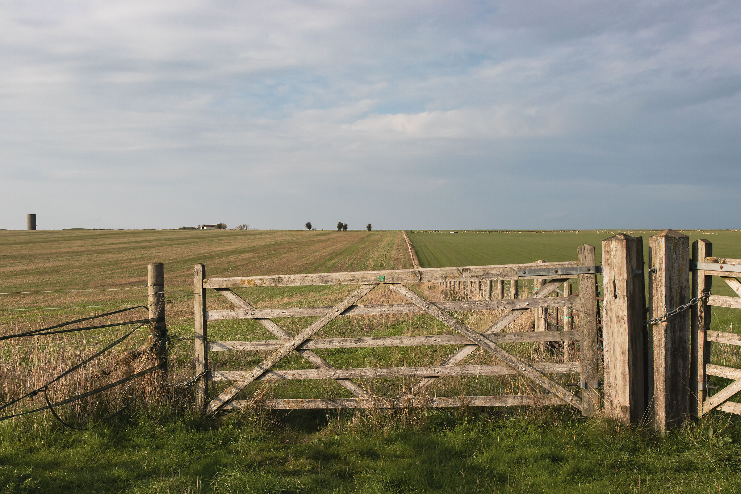 Gate