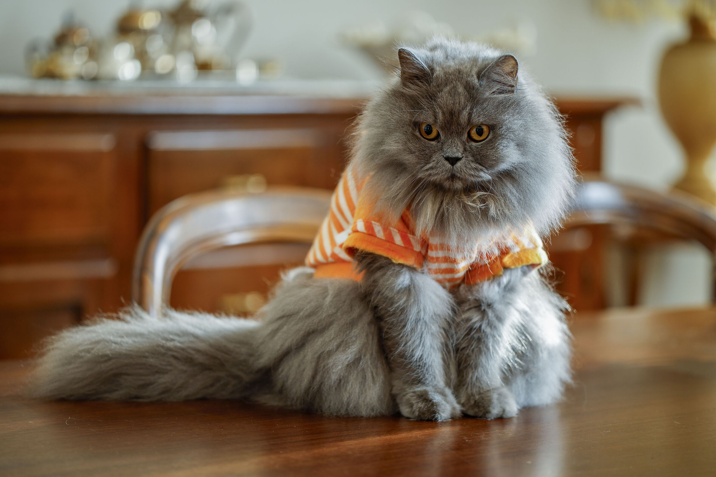 The little girl of the house, even if she is 7 years old