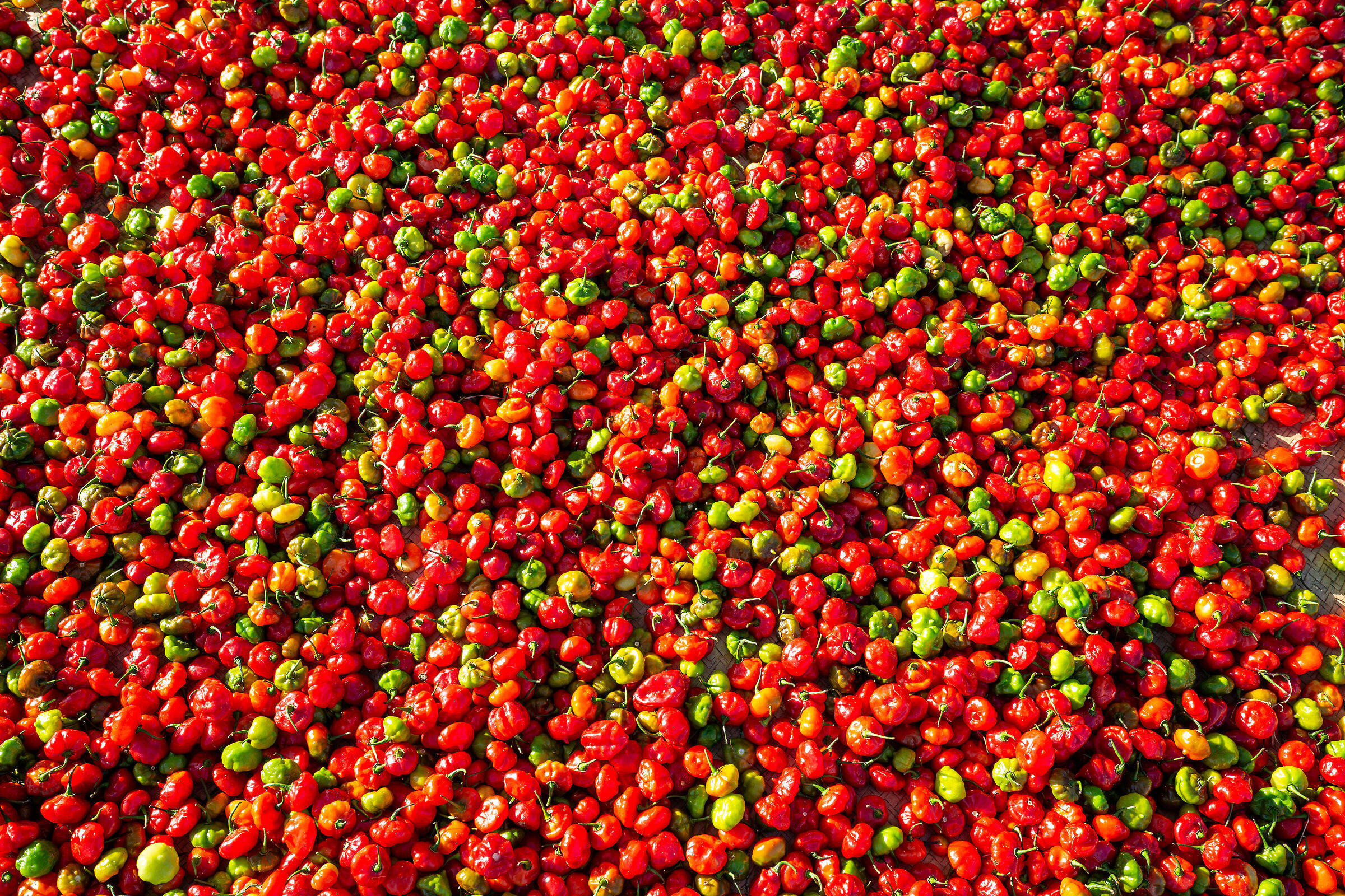 Chillies