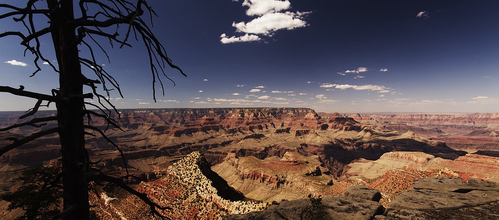 Grand Canyon .1