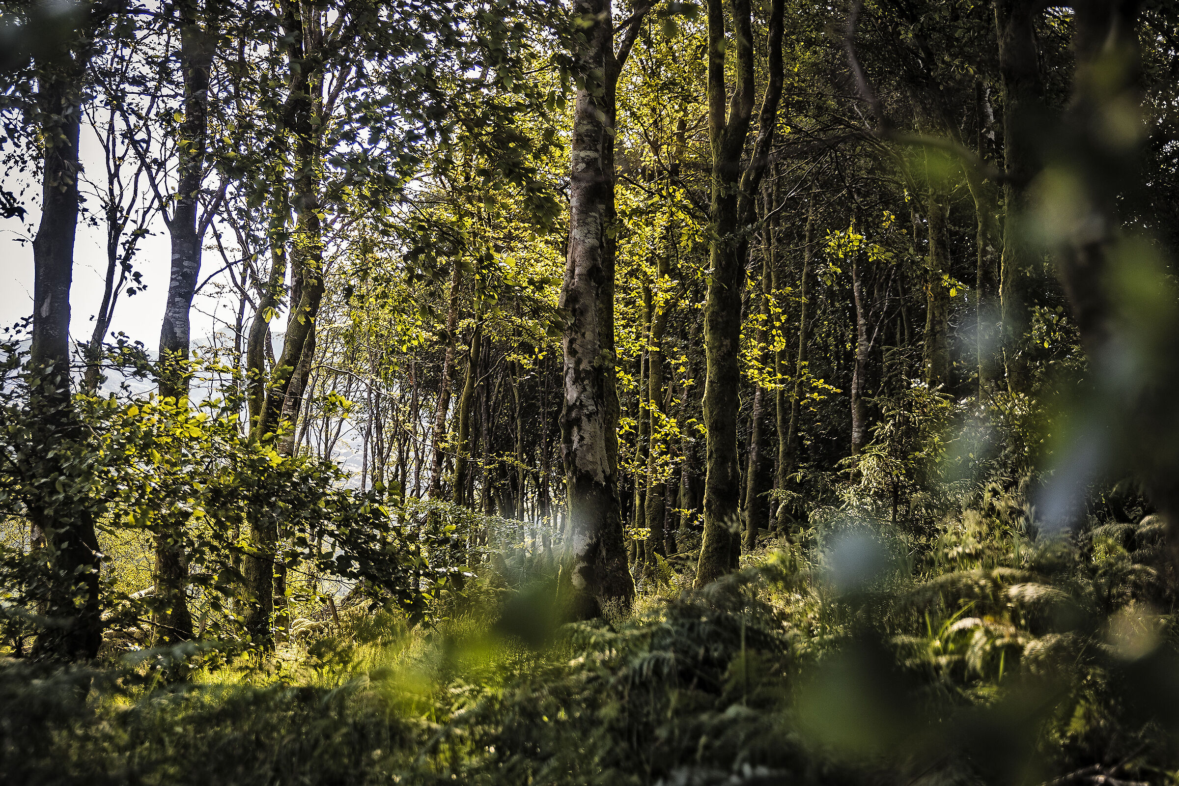 L'eterna lotta tra Luce e Tenebre...