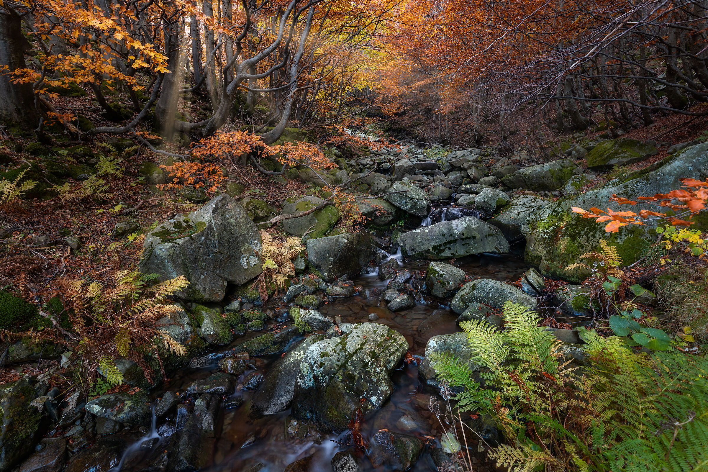 L'autunno e i suoi colori