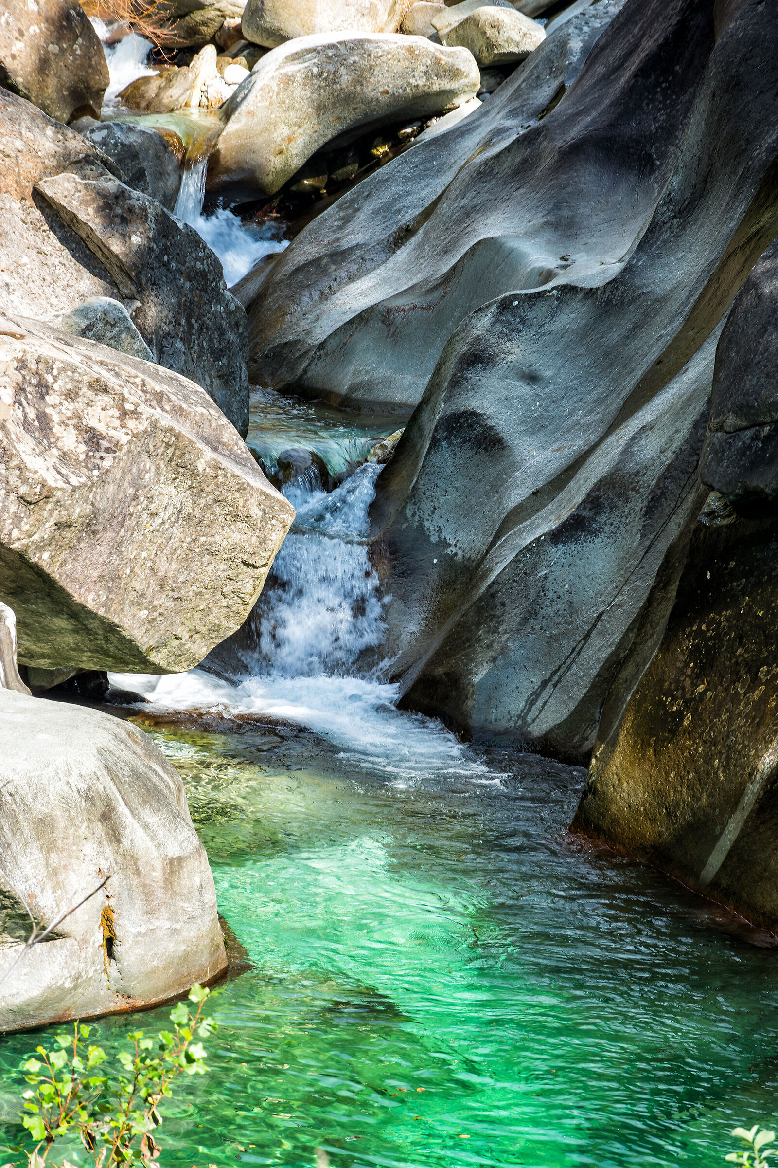 La bellezza delle Guadine