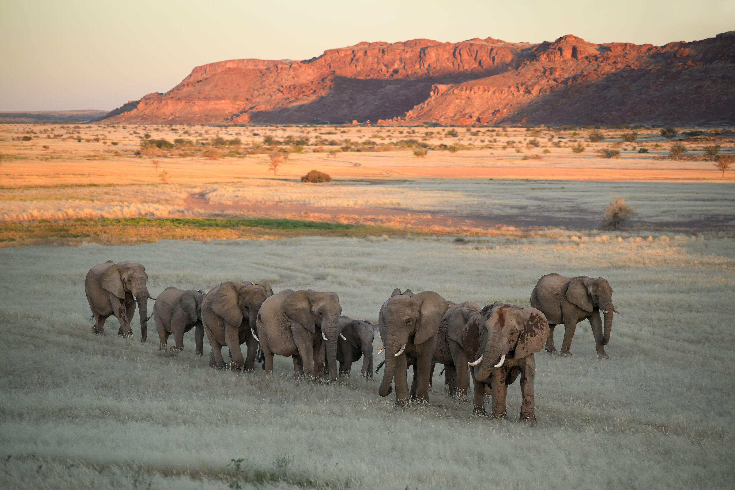 Non tutti si mettono in fila...