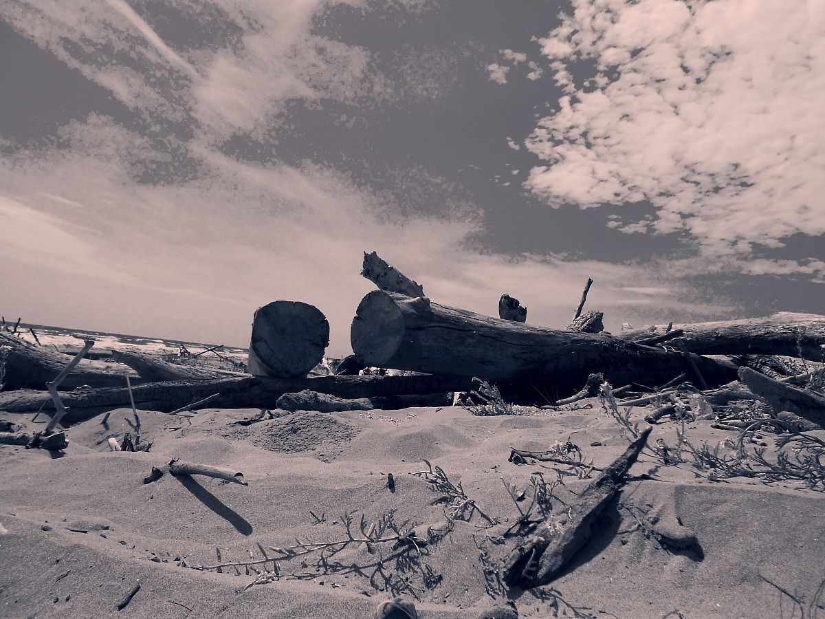 Po Delta Mouth of the South Station Bevano