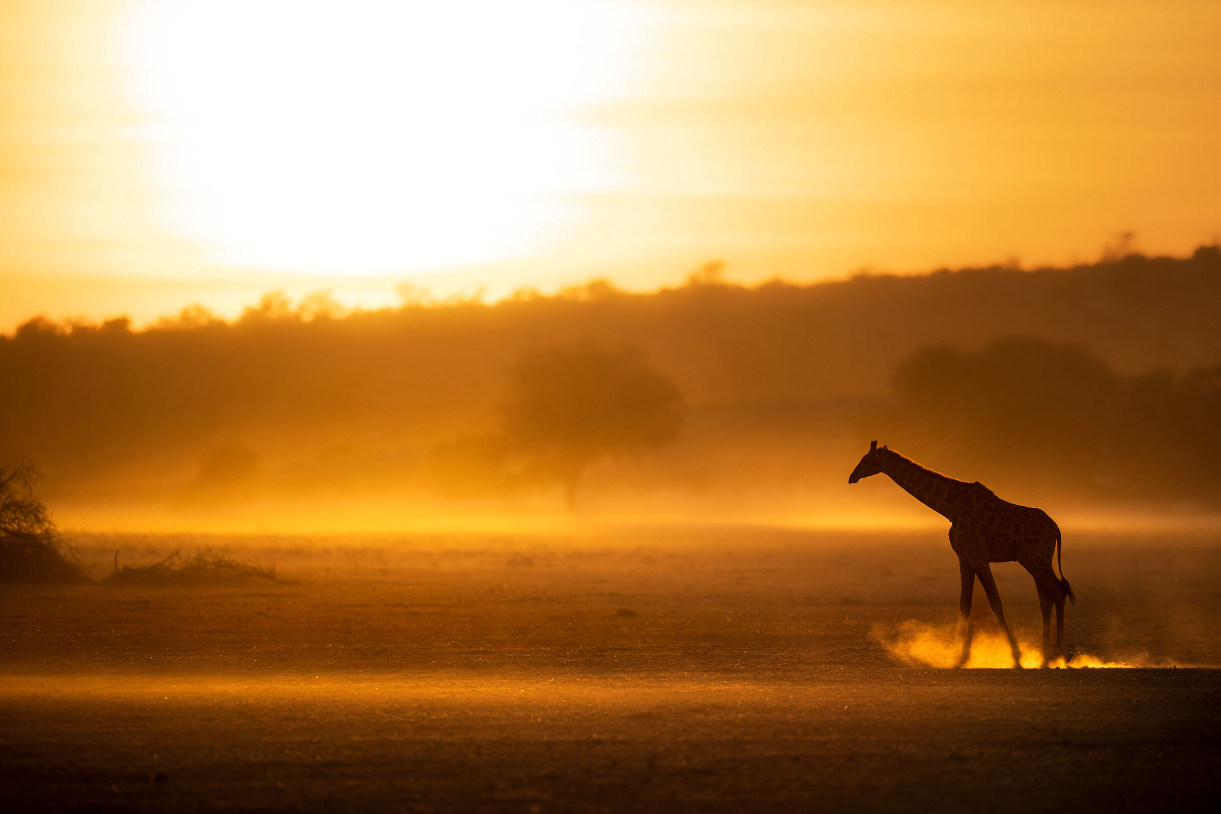 African sunrises