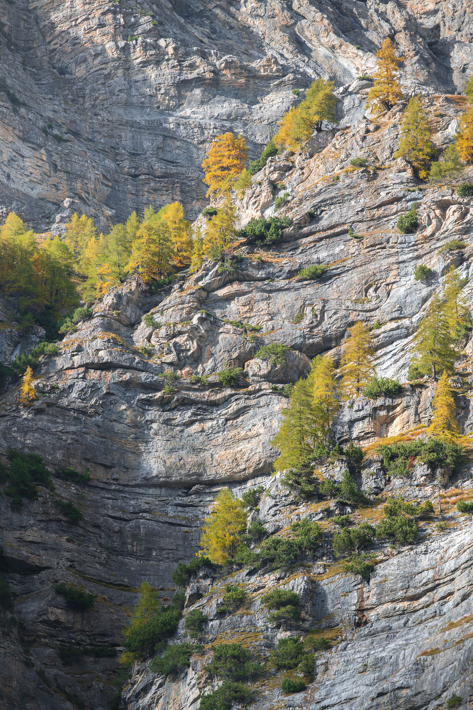 Autunno