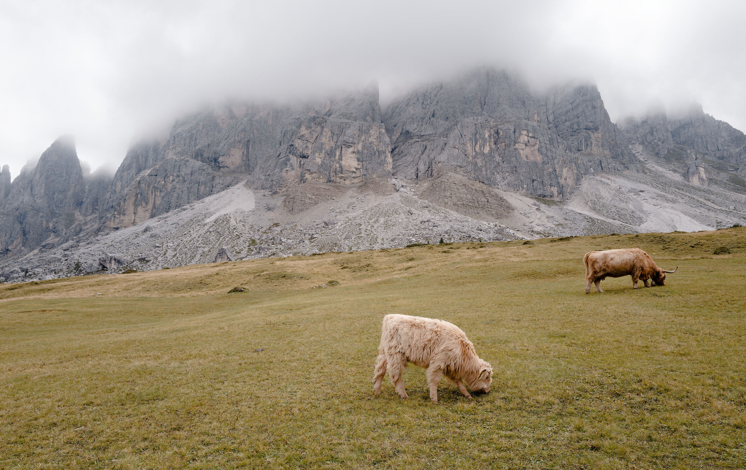 Passo delle Erbe, 2025