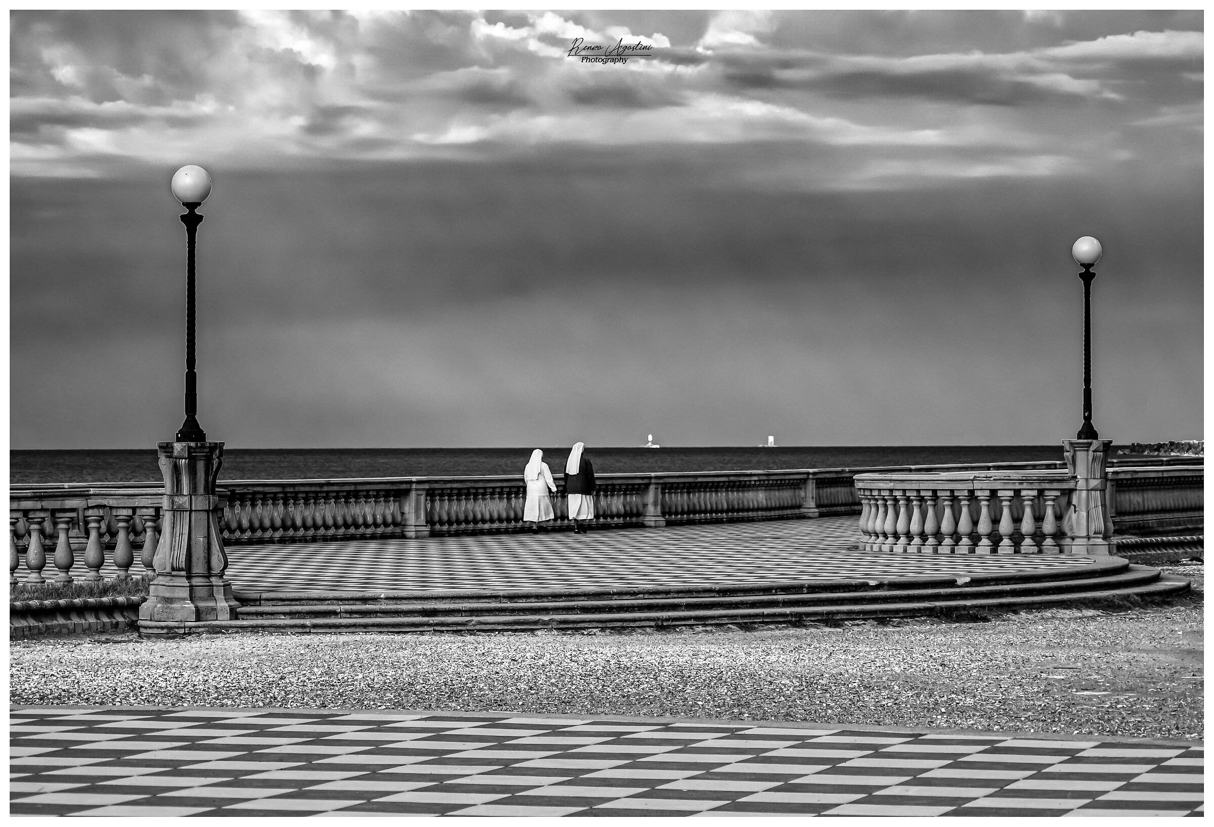 Black and white on the Terrace