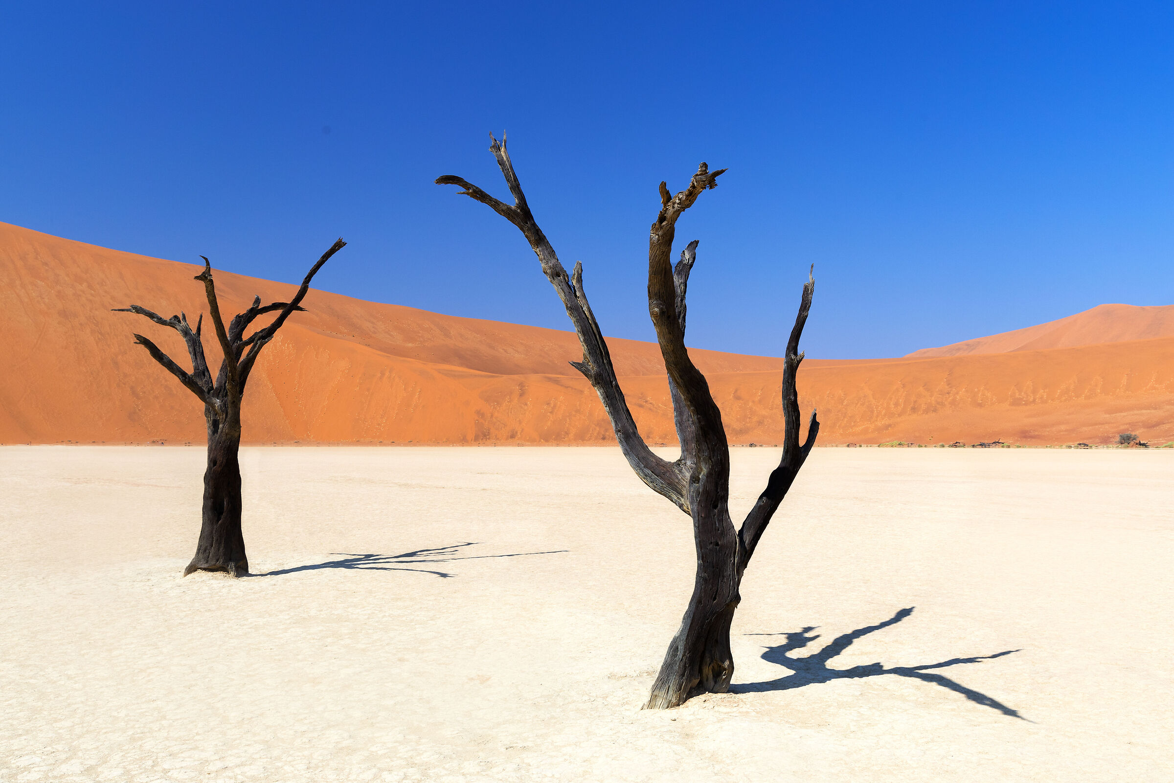 Dead Vlei