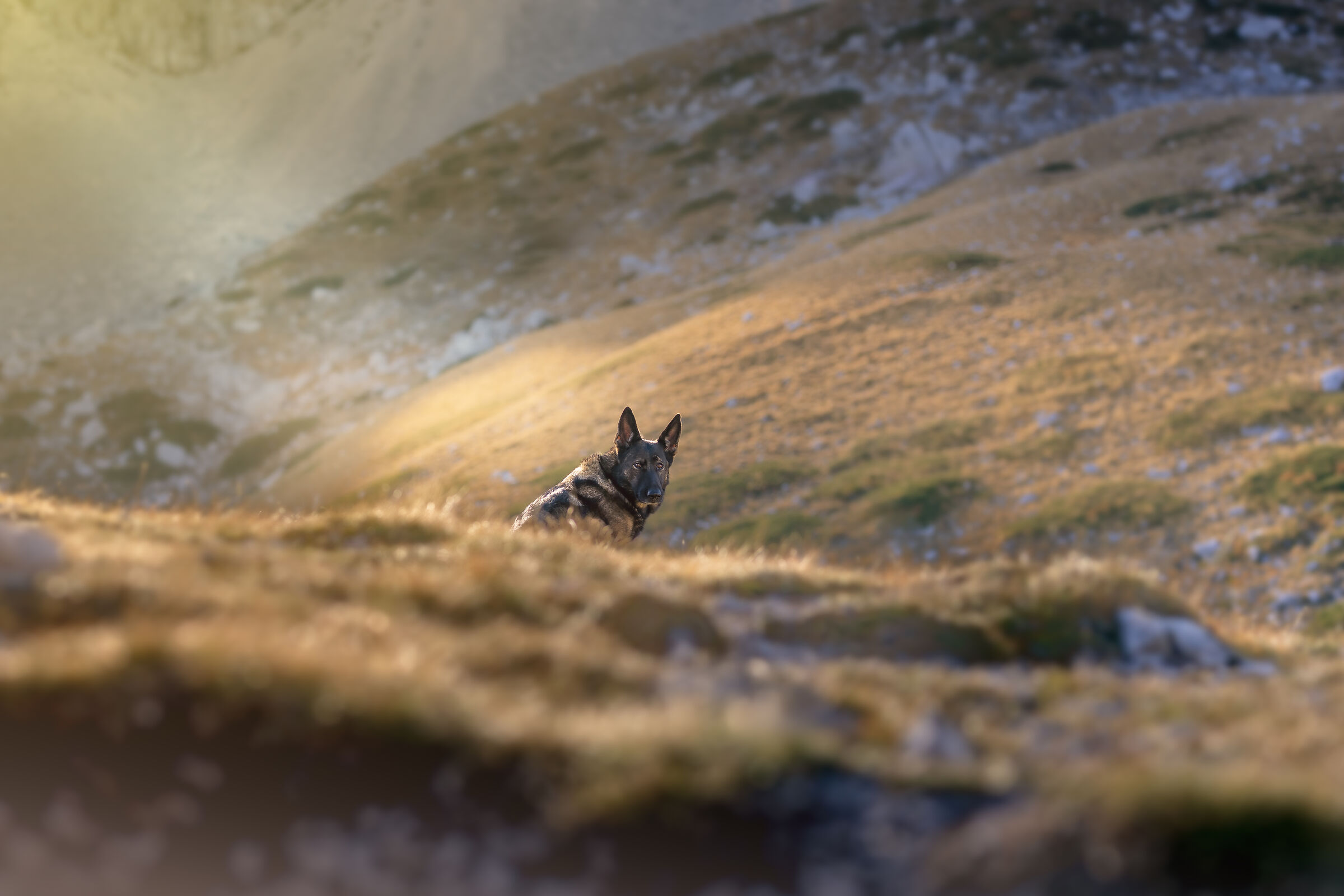 In the valley