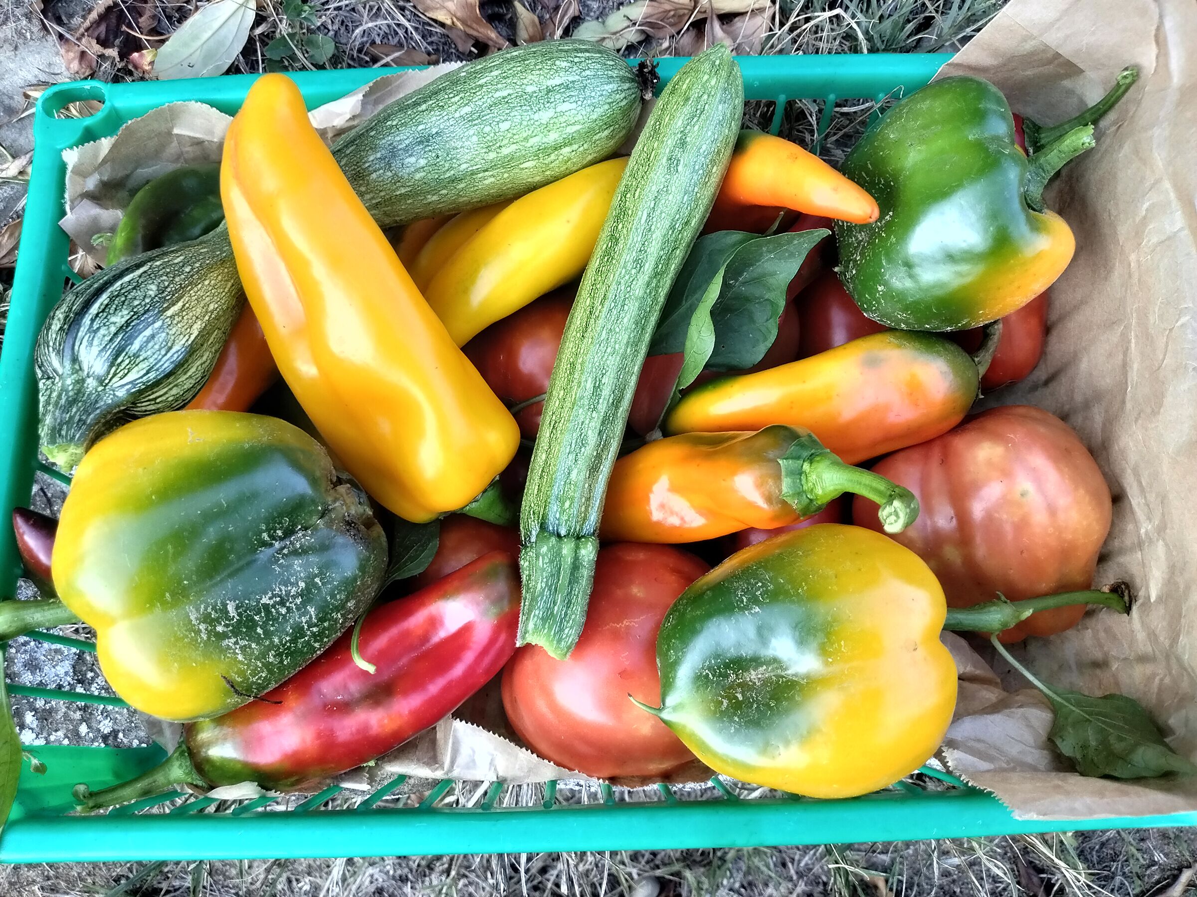 The vegetable garden is still generous