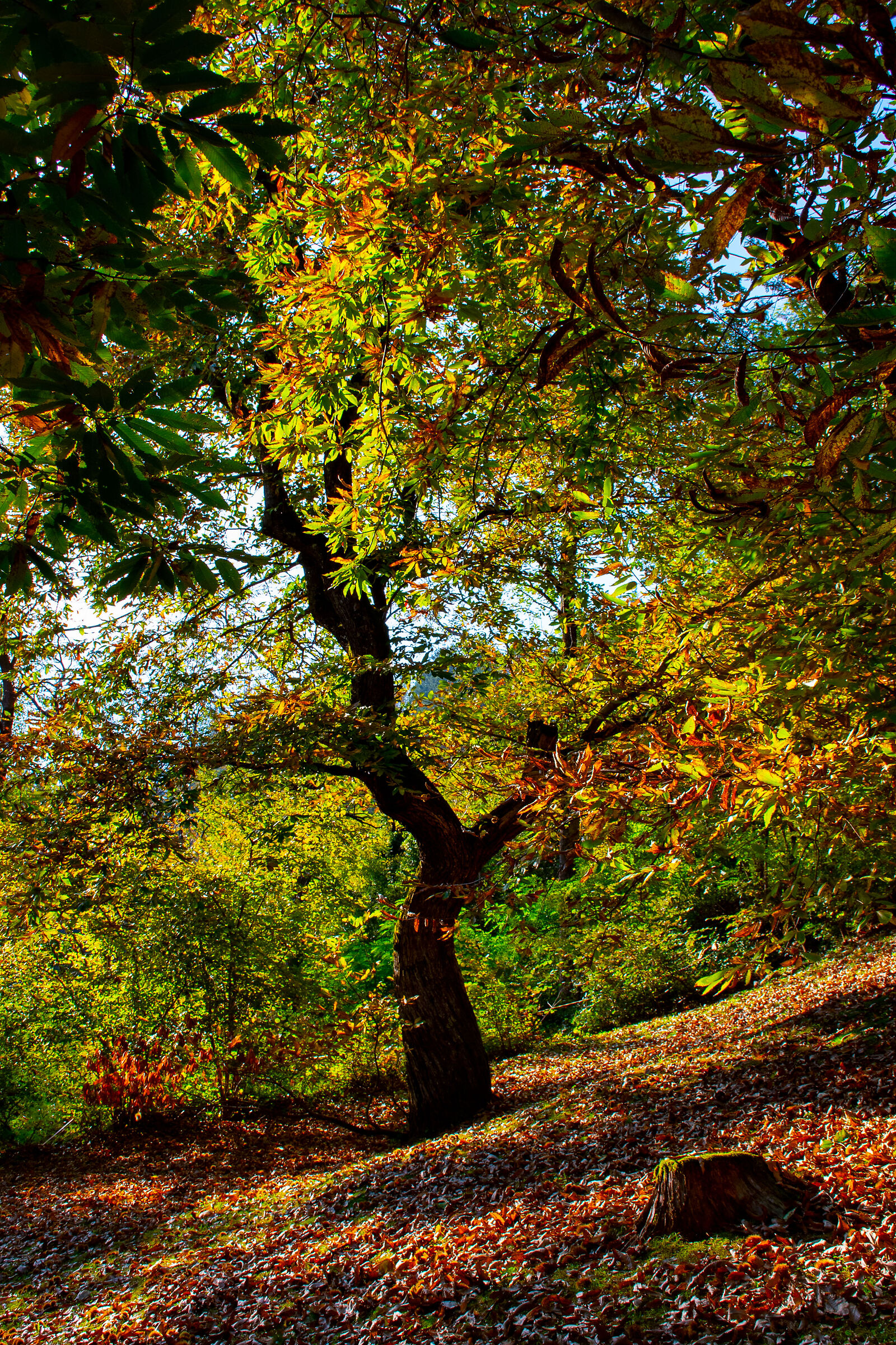 Untitled Photo
