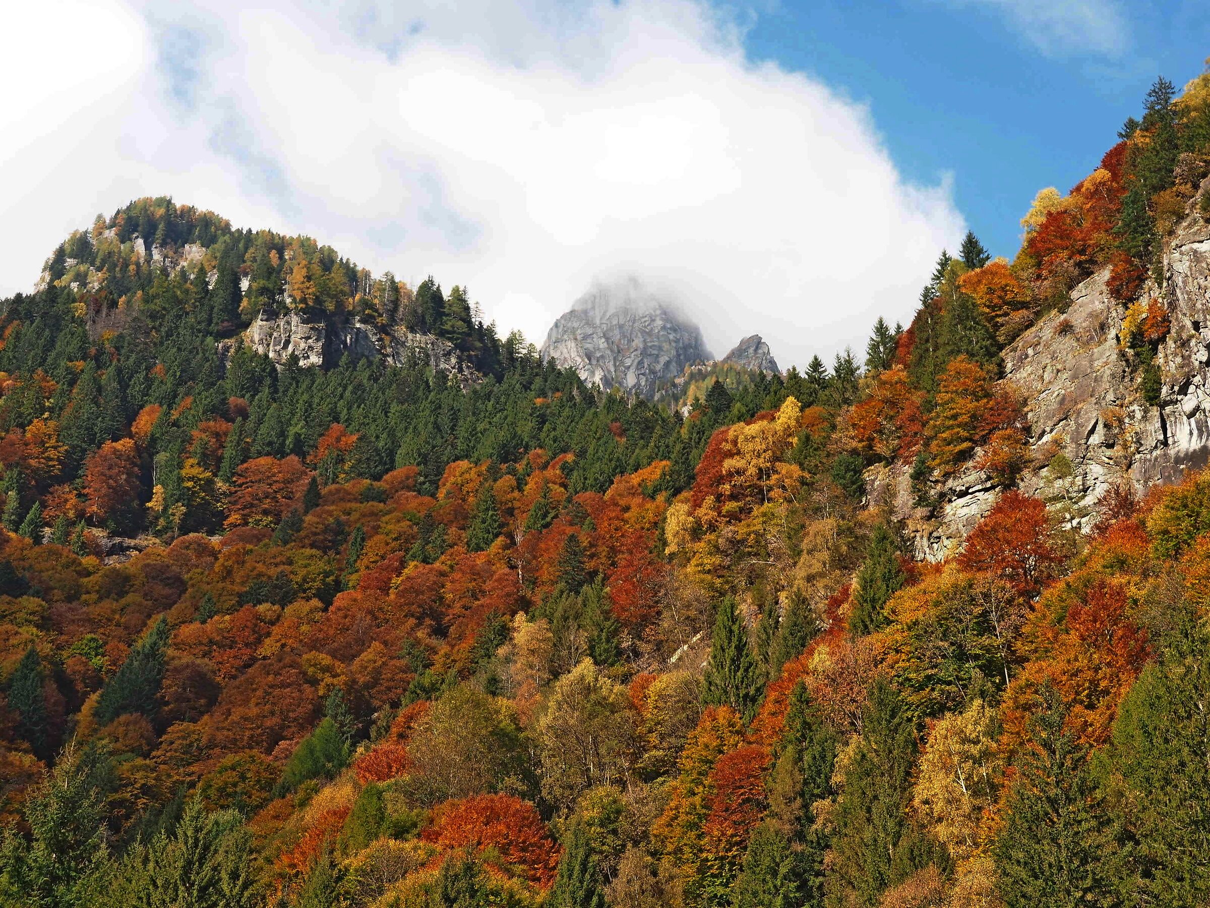 cercando i colori , trovati i colori !