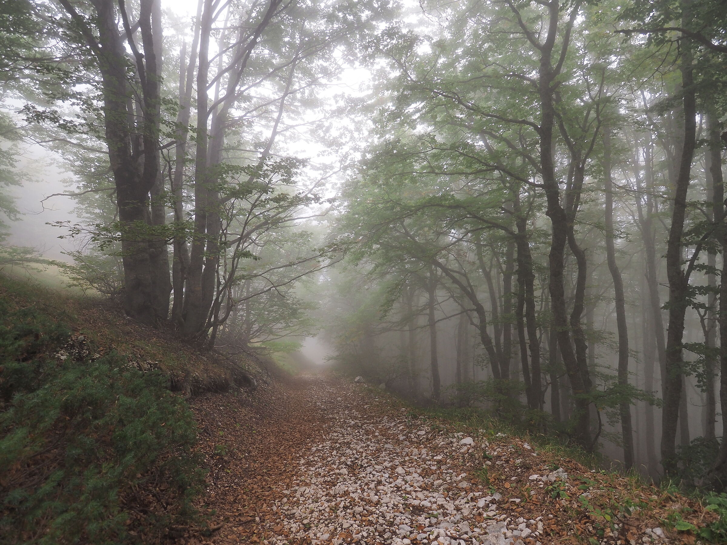Untitled Photo