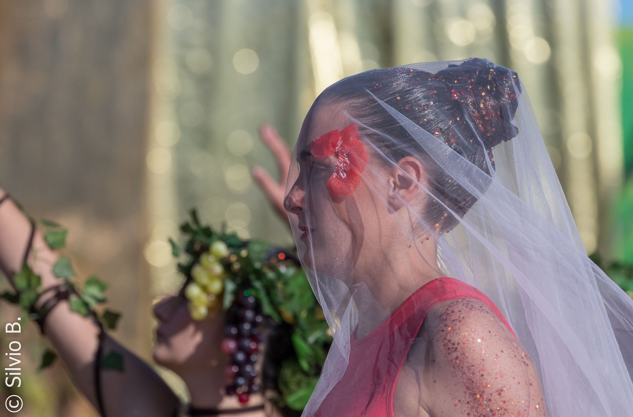 grape festival Impruneta (FI) 2025